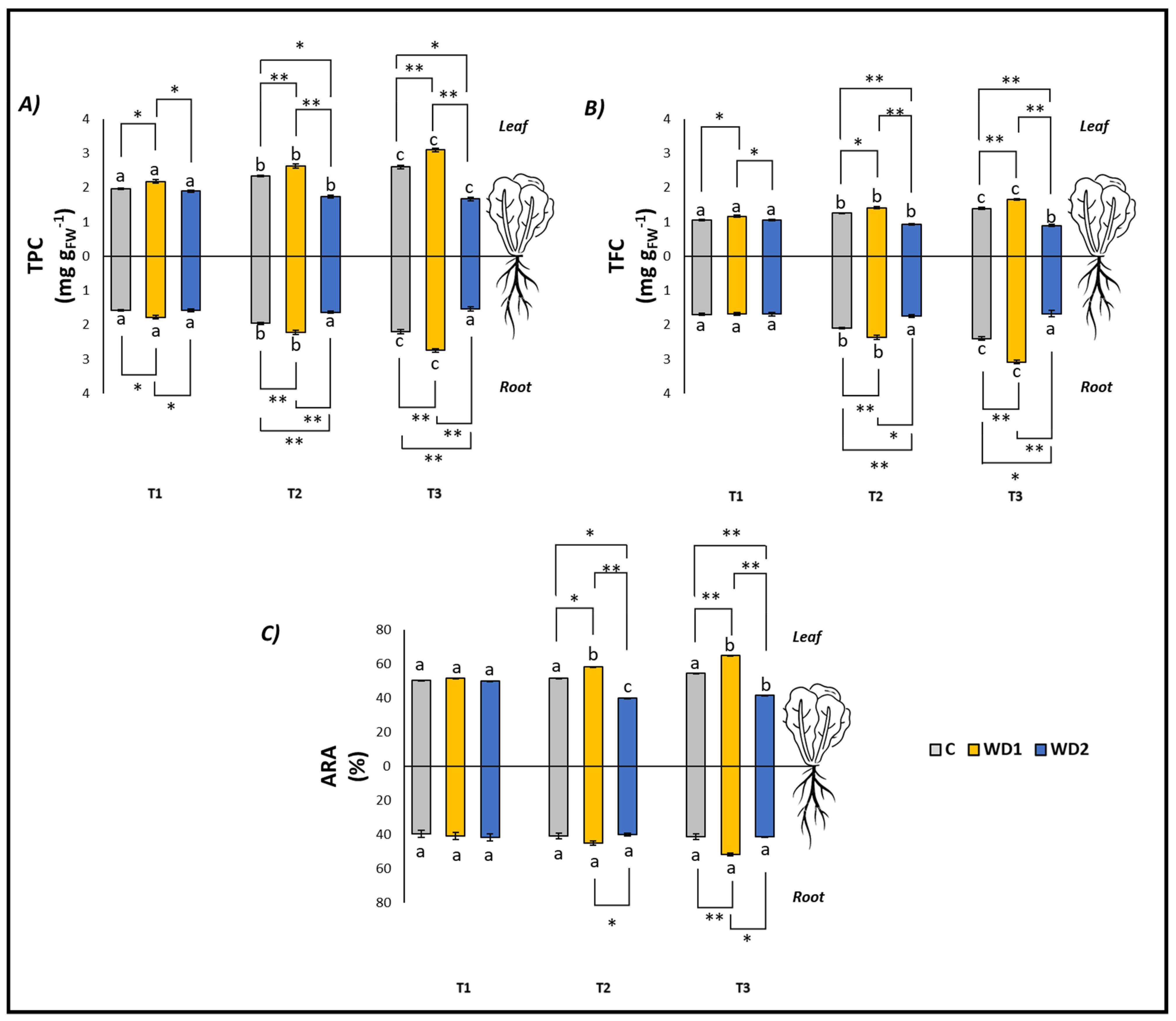 Plants 13 00447 g003
