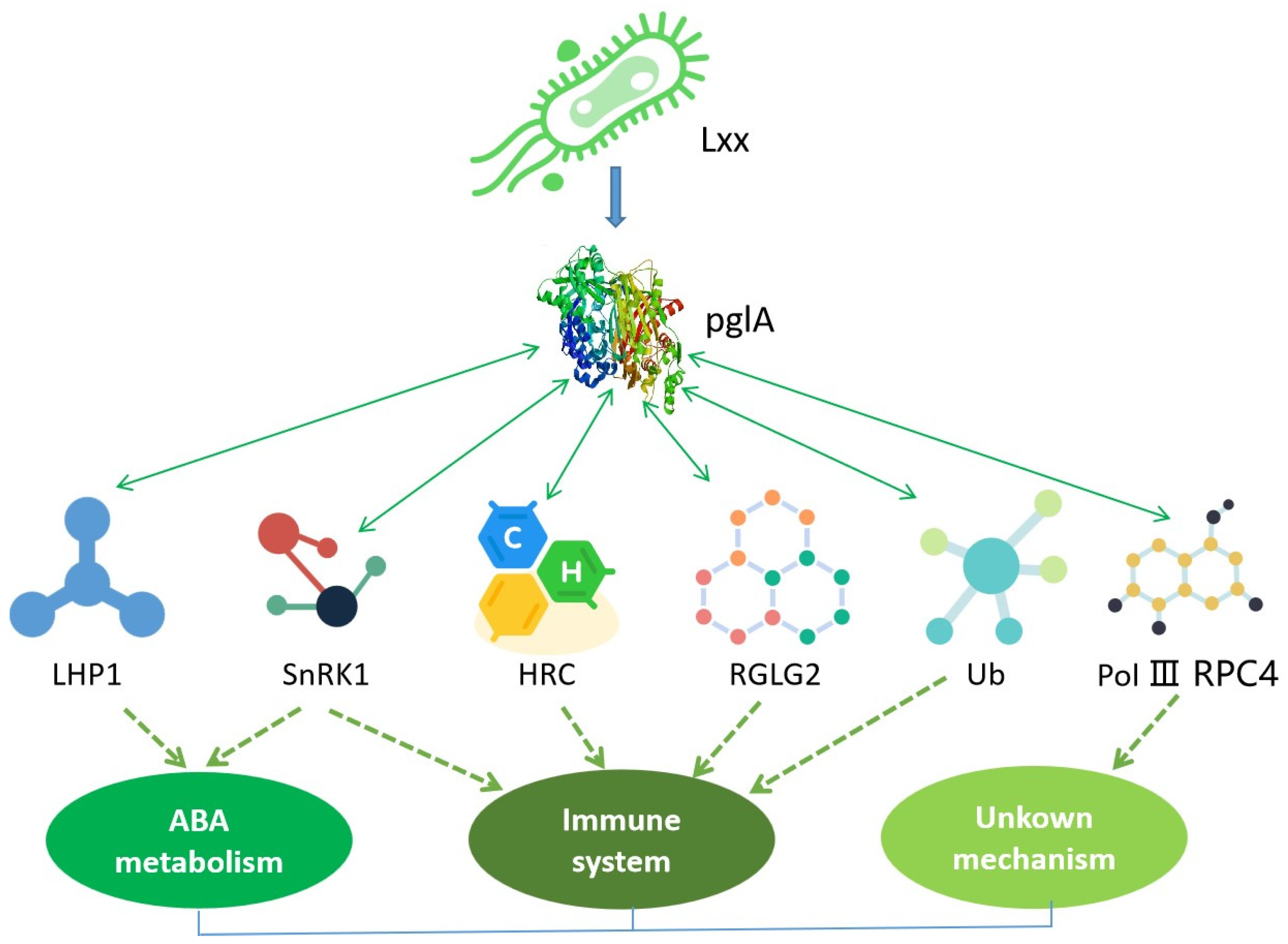 Plants 13 00448 g007 Plants 13 00448 g007