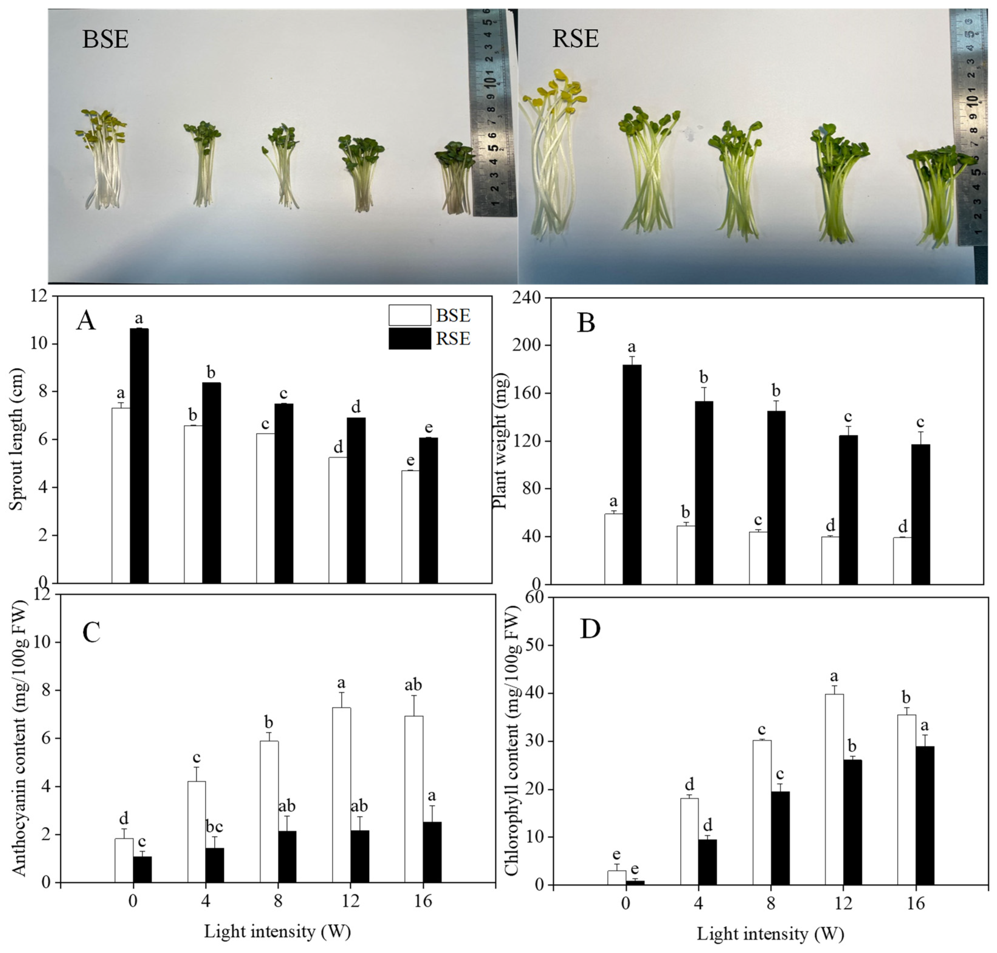 Plants 13 00450 g001