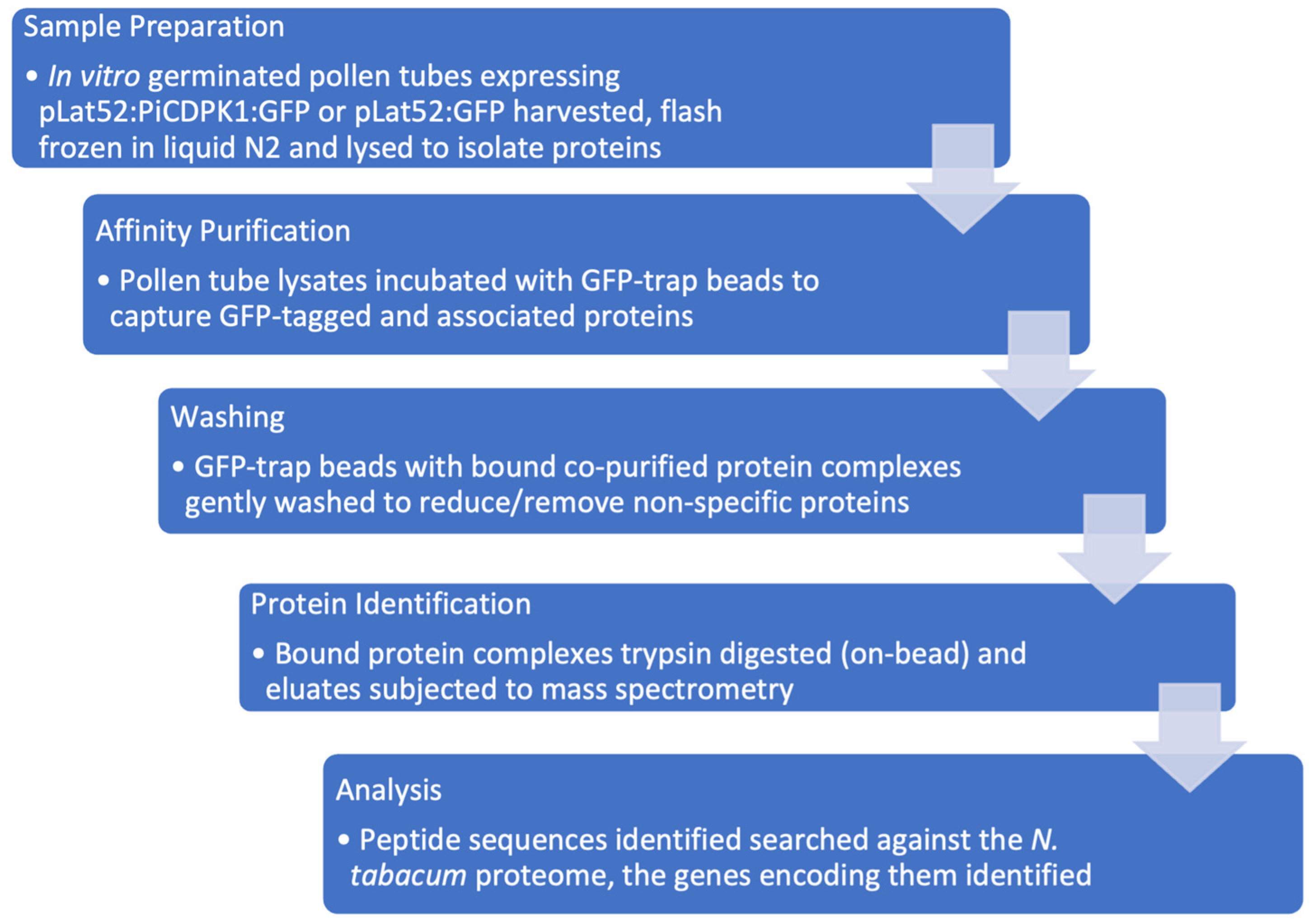 Plants 13 00451 g001