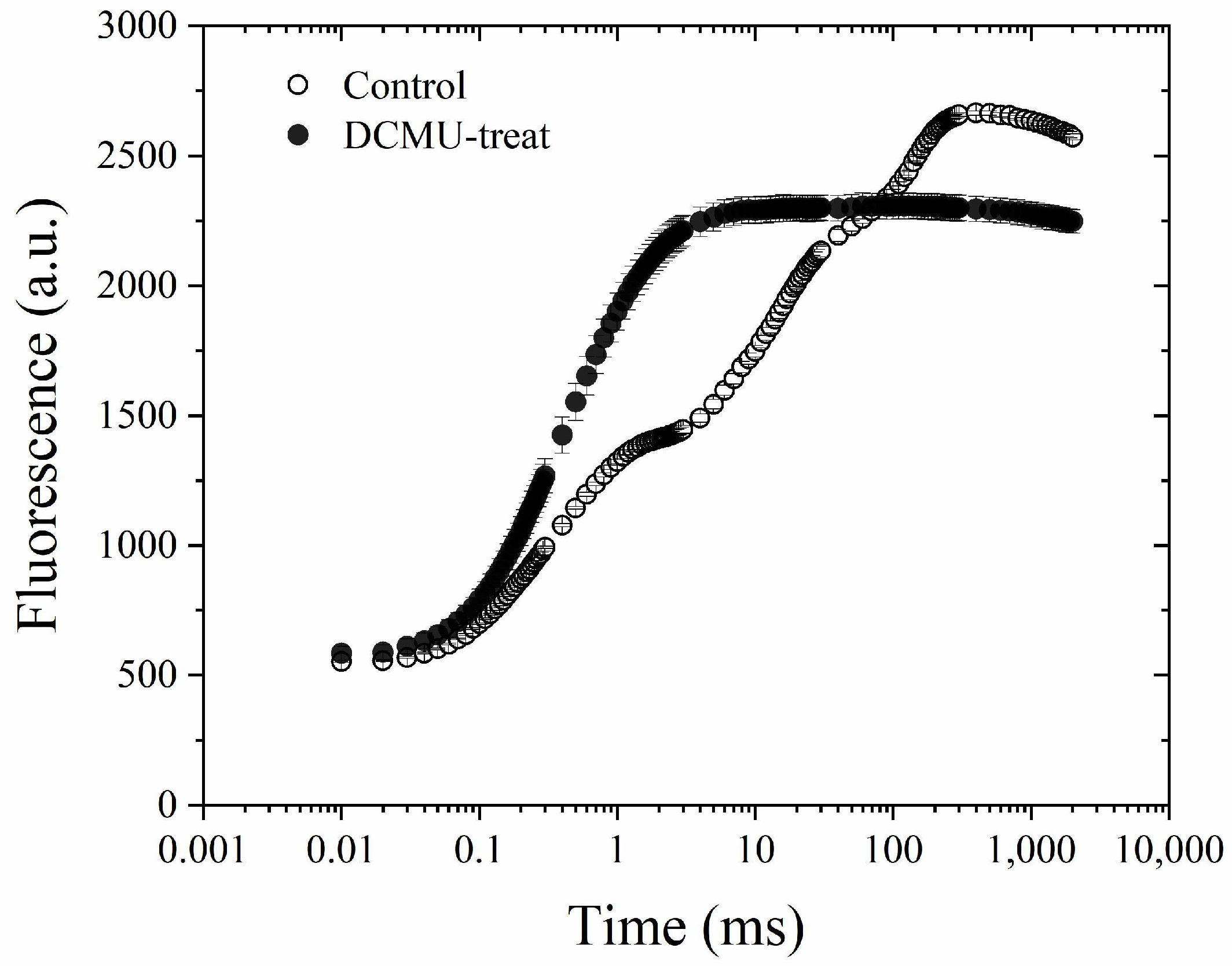 Plants 13 00452 g001