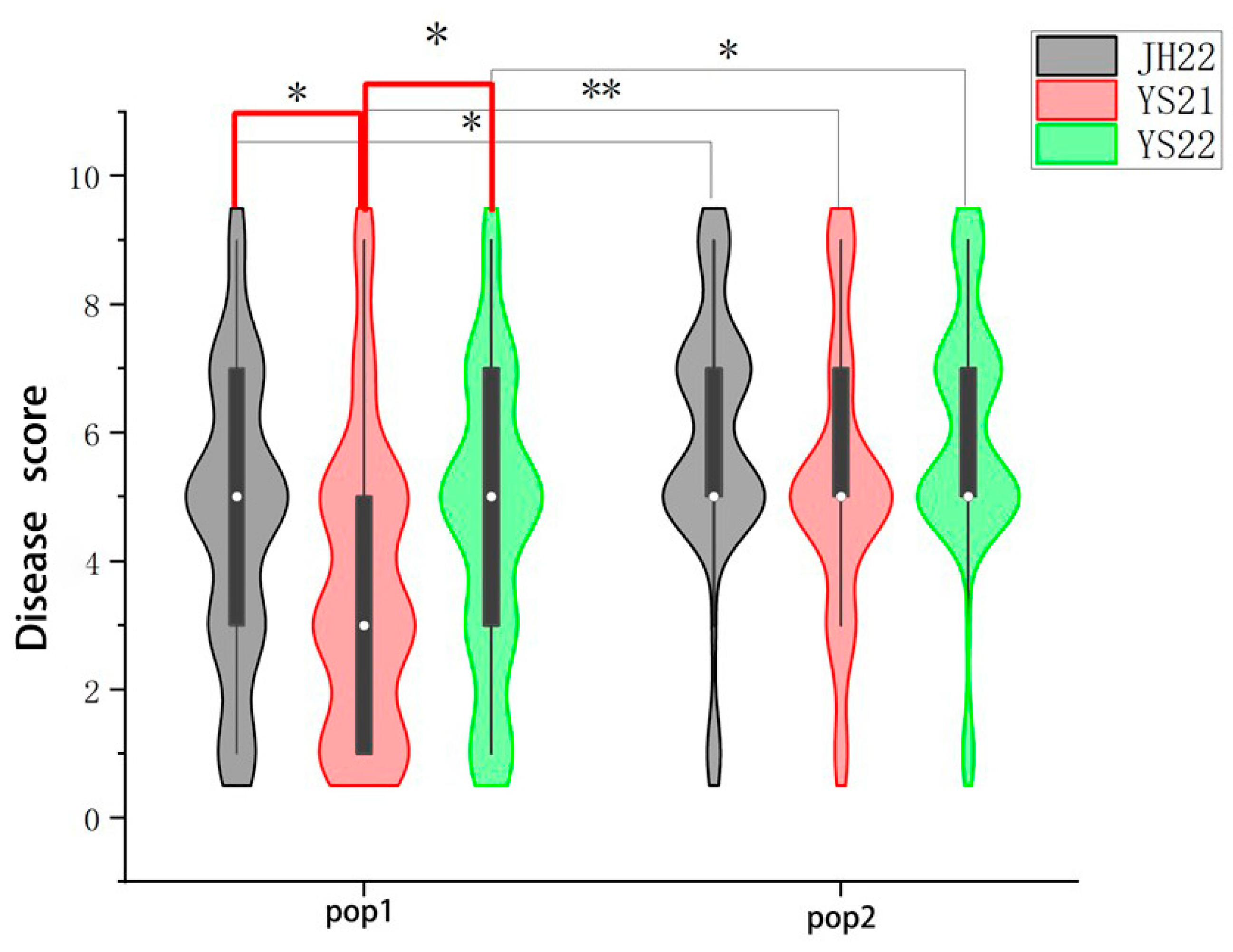 Plants 13 00456 g001