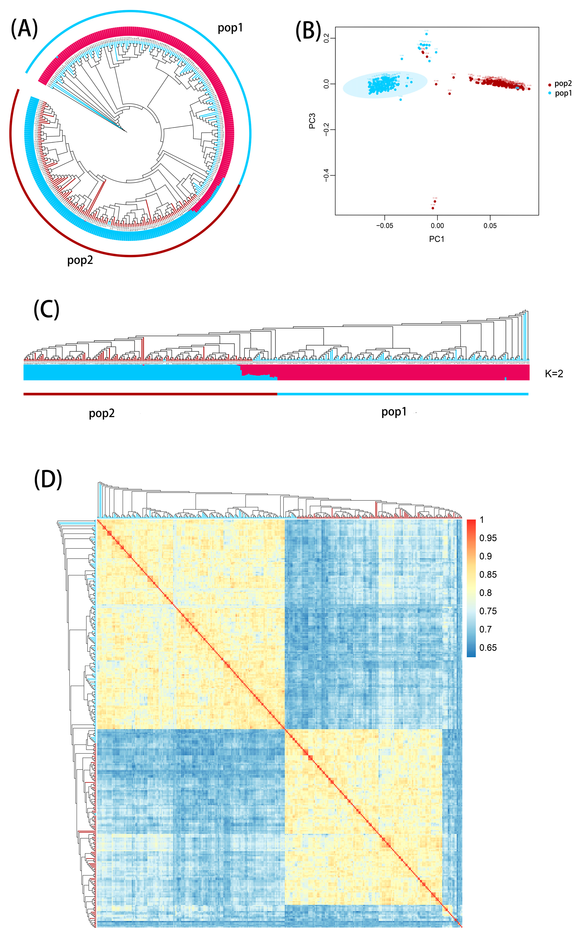 Plants 13 00456 g004