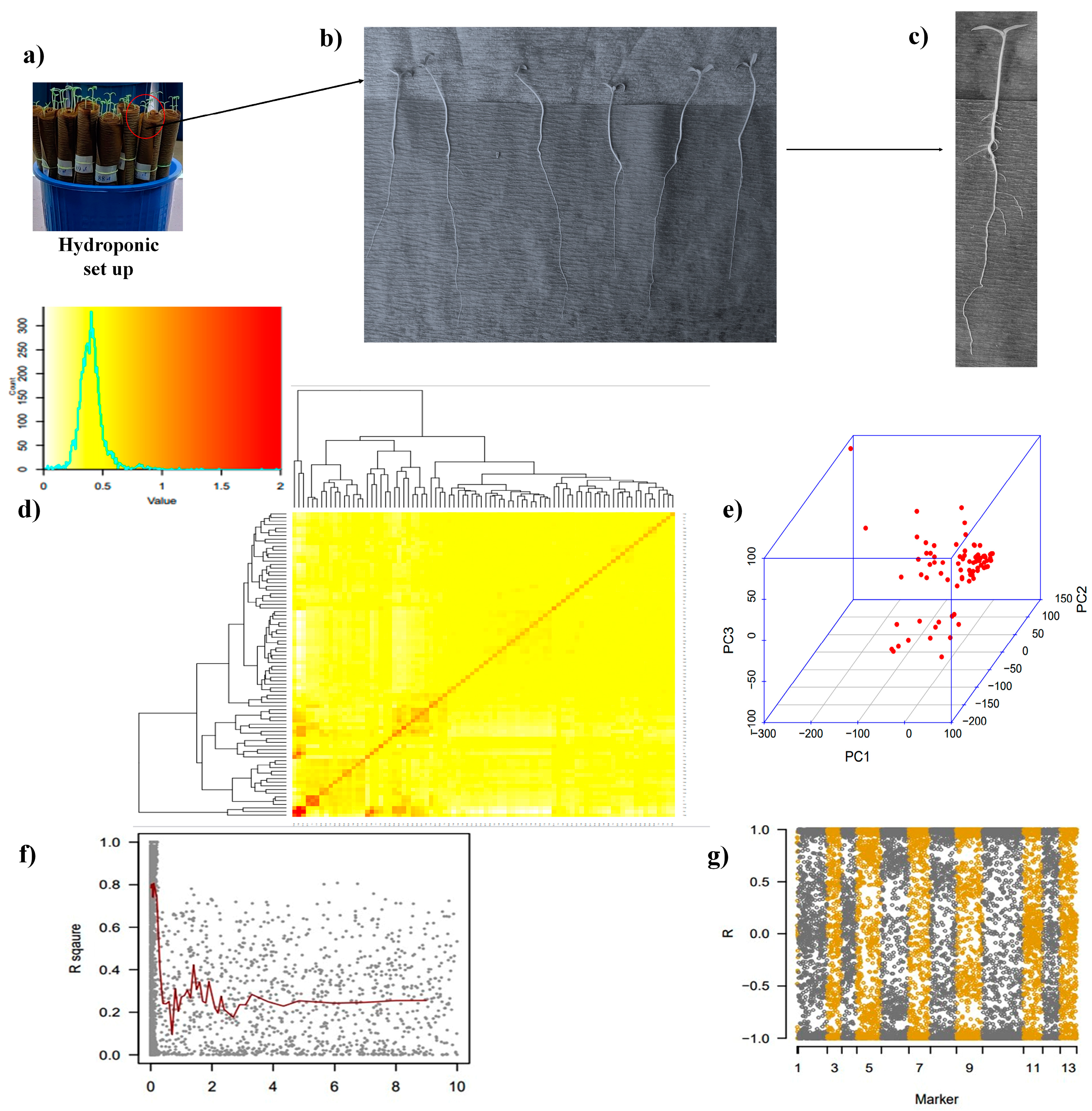 Plants 13 00457 g001