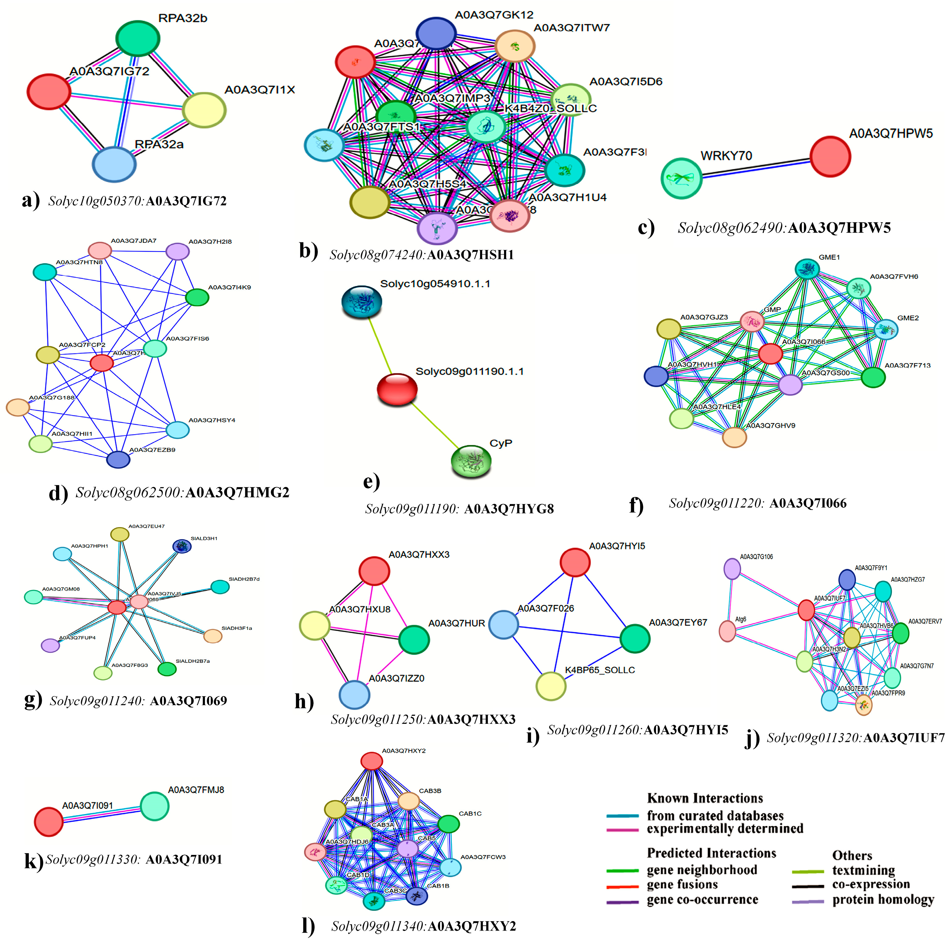 Plants 13 00457 g006