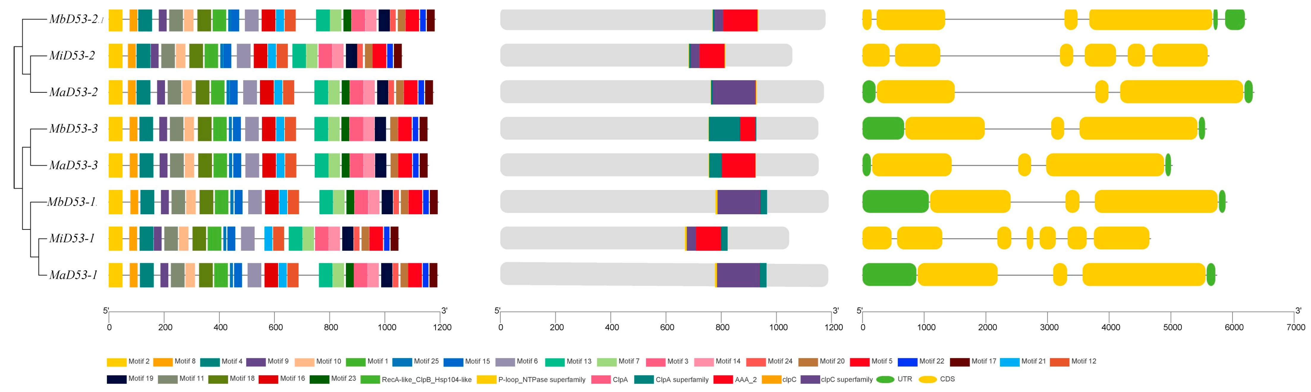Plants 13 00458 g003