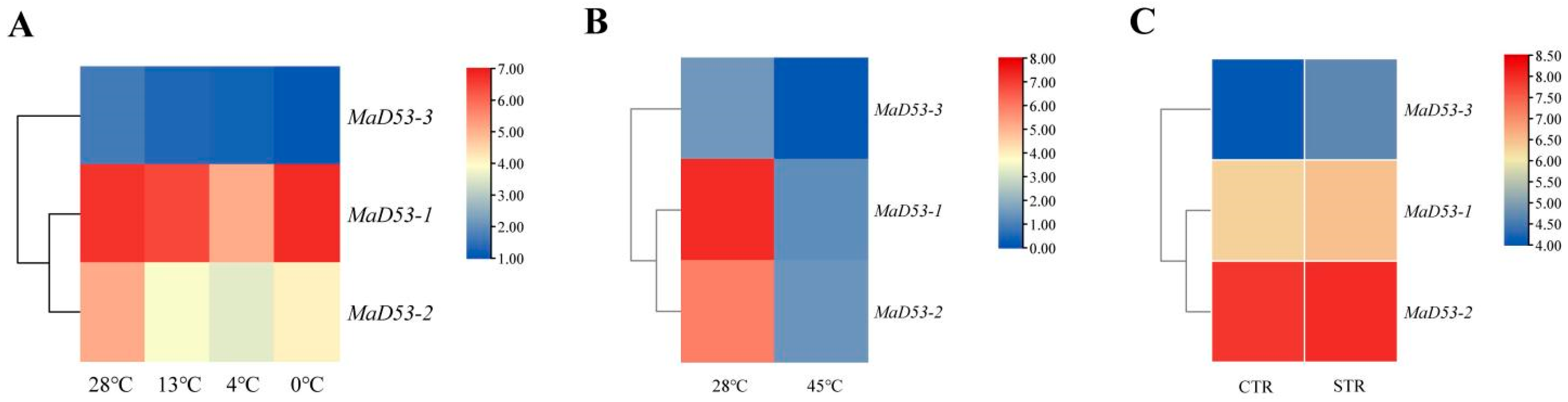 Plants 13 00458 g005