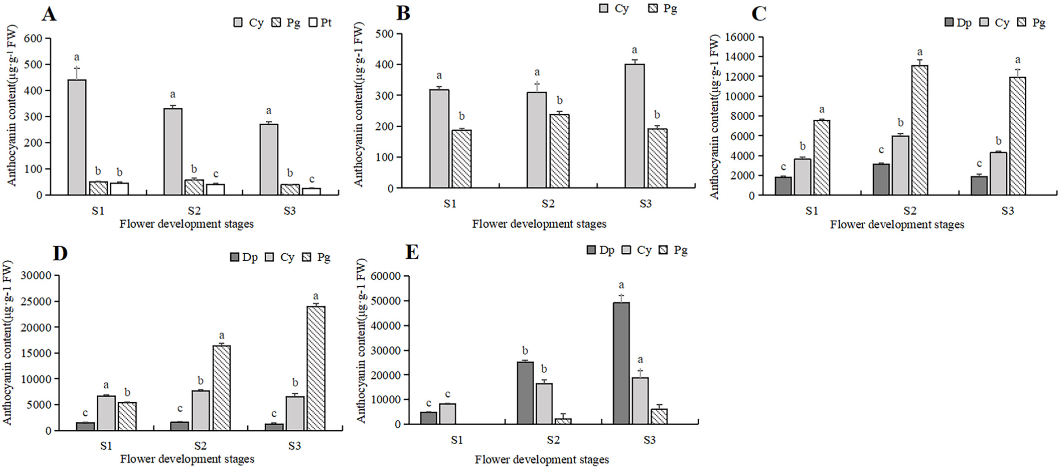Plants 13 00459 g006
