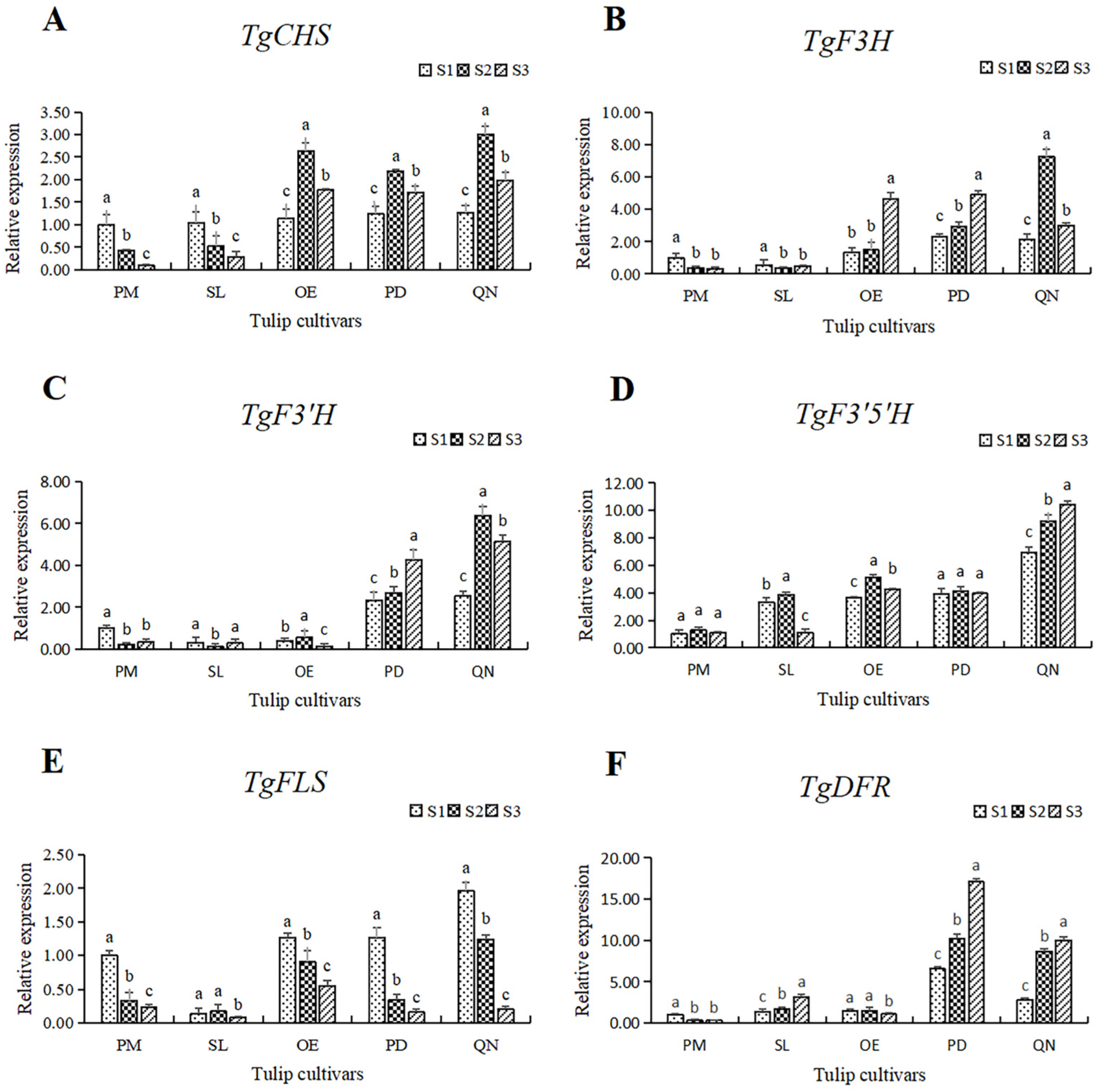 Plants 13 00459 g008