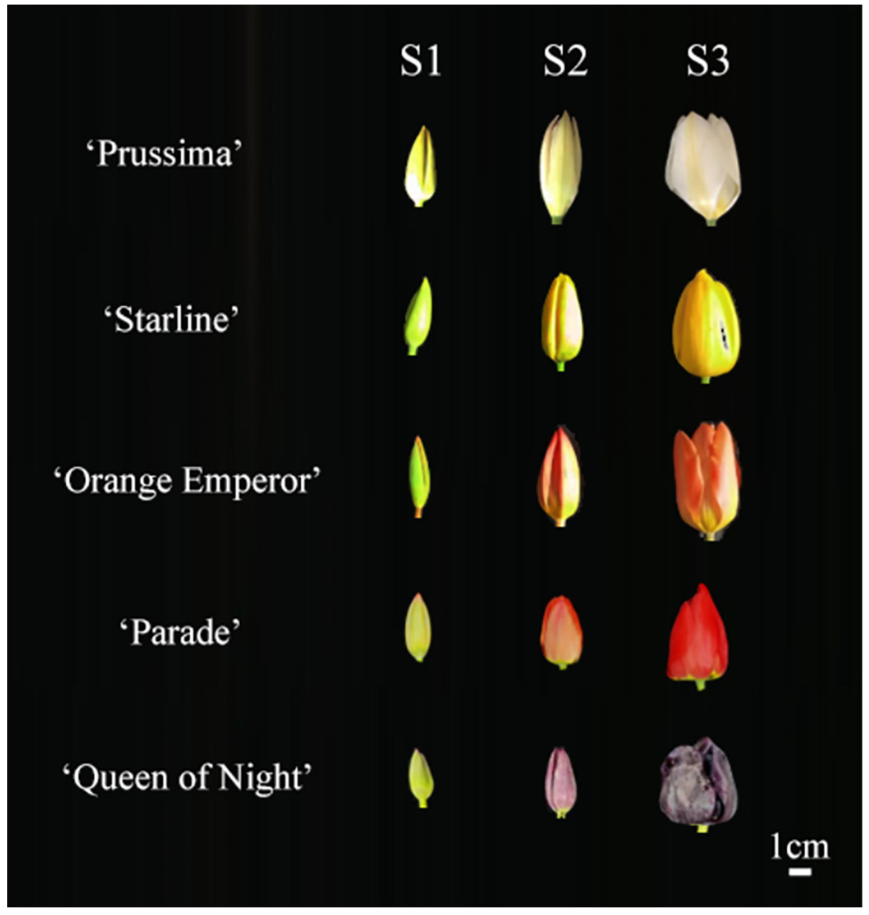 Plants 13 00459 g009