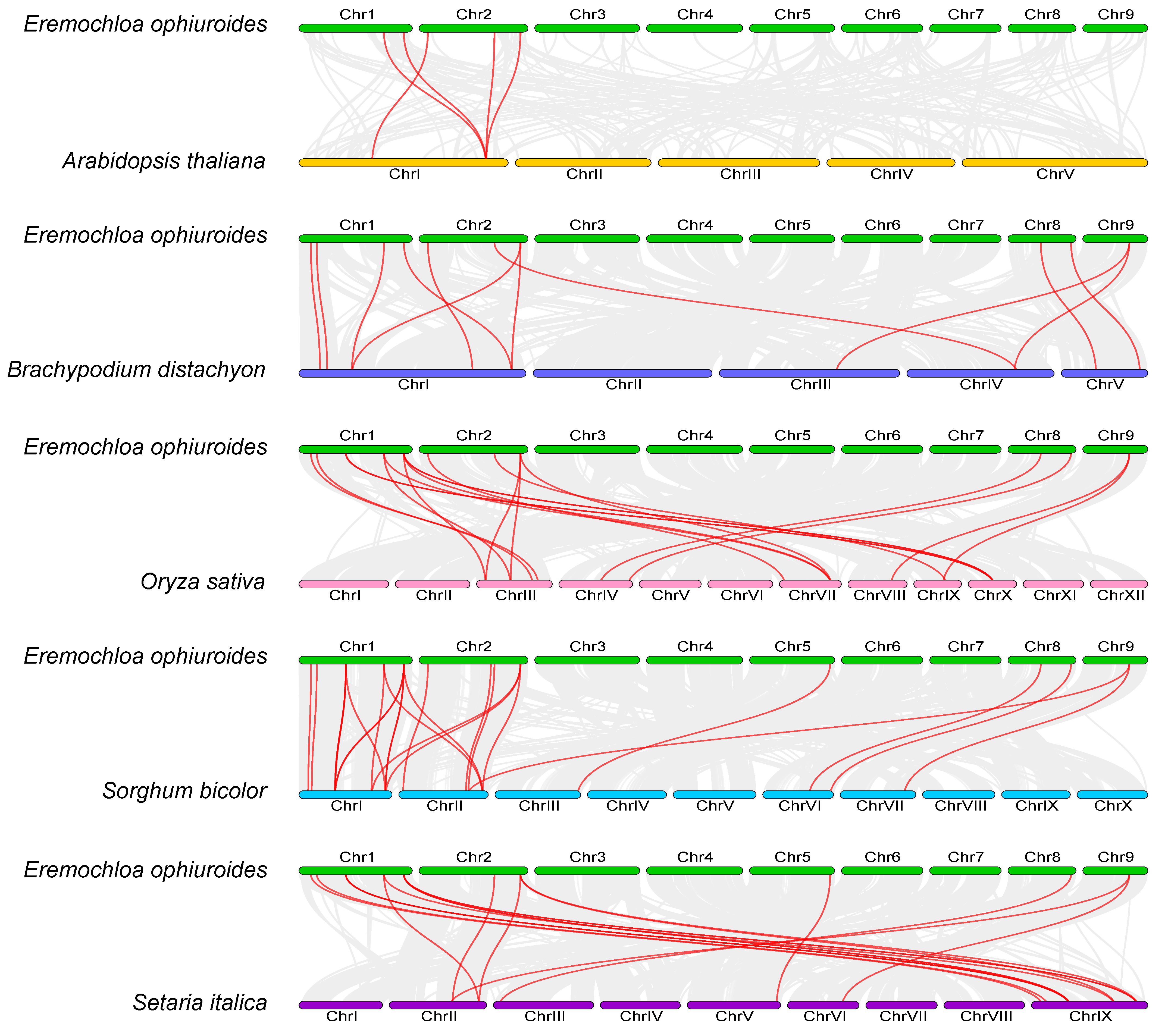 Plants 13 00462 g006