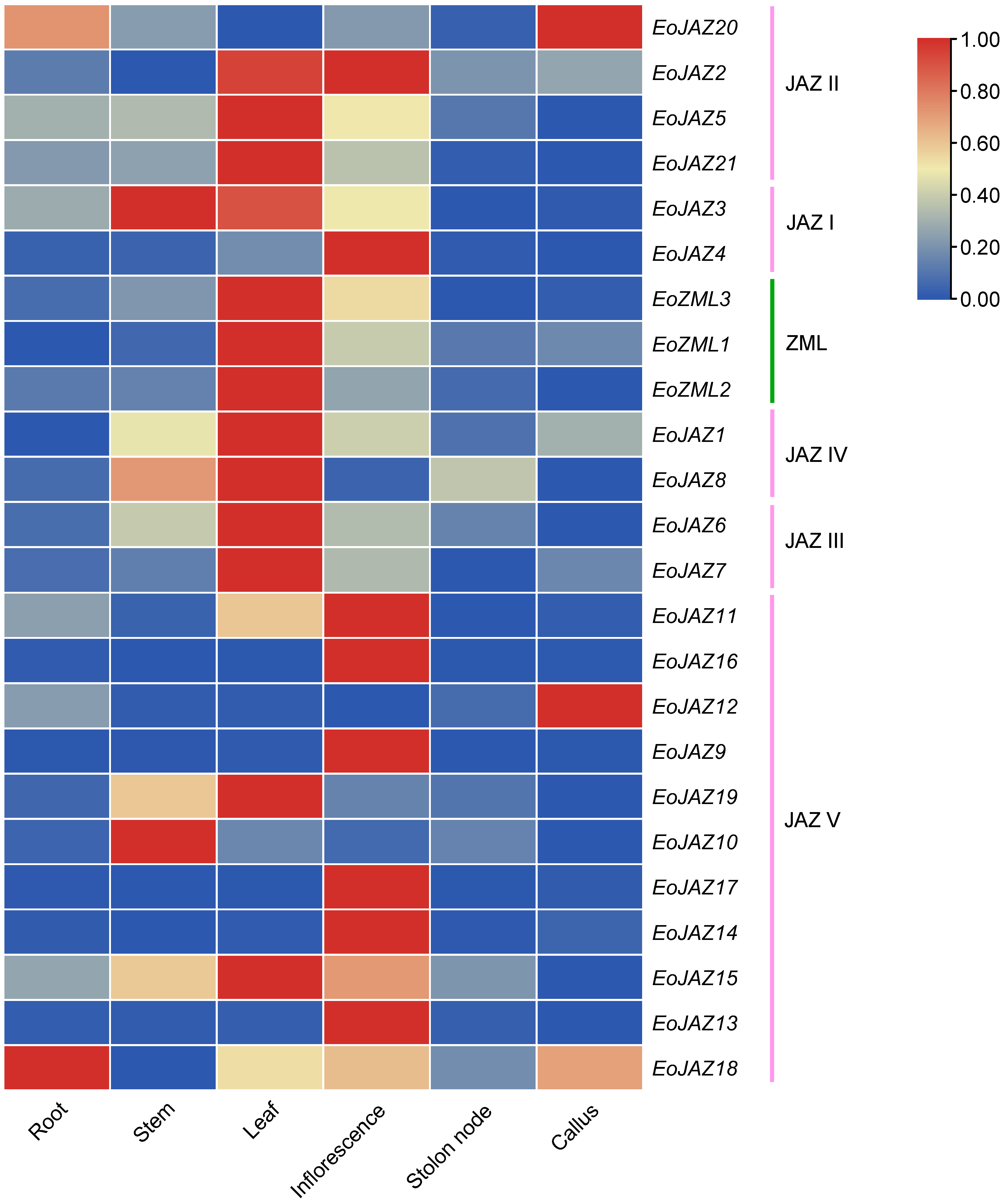 Plants 13 00462 g007