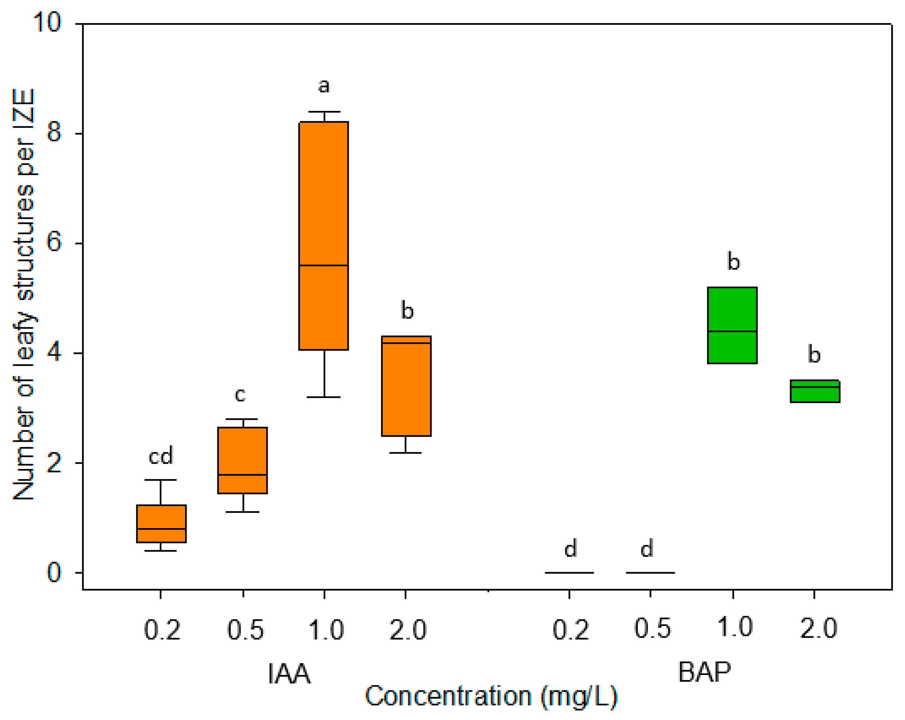 Plants 13 00465 g002