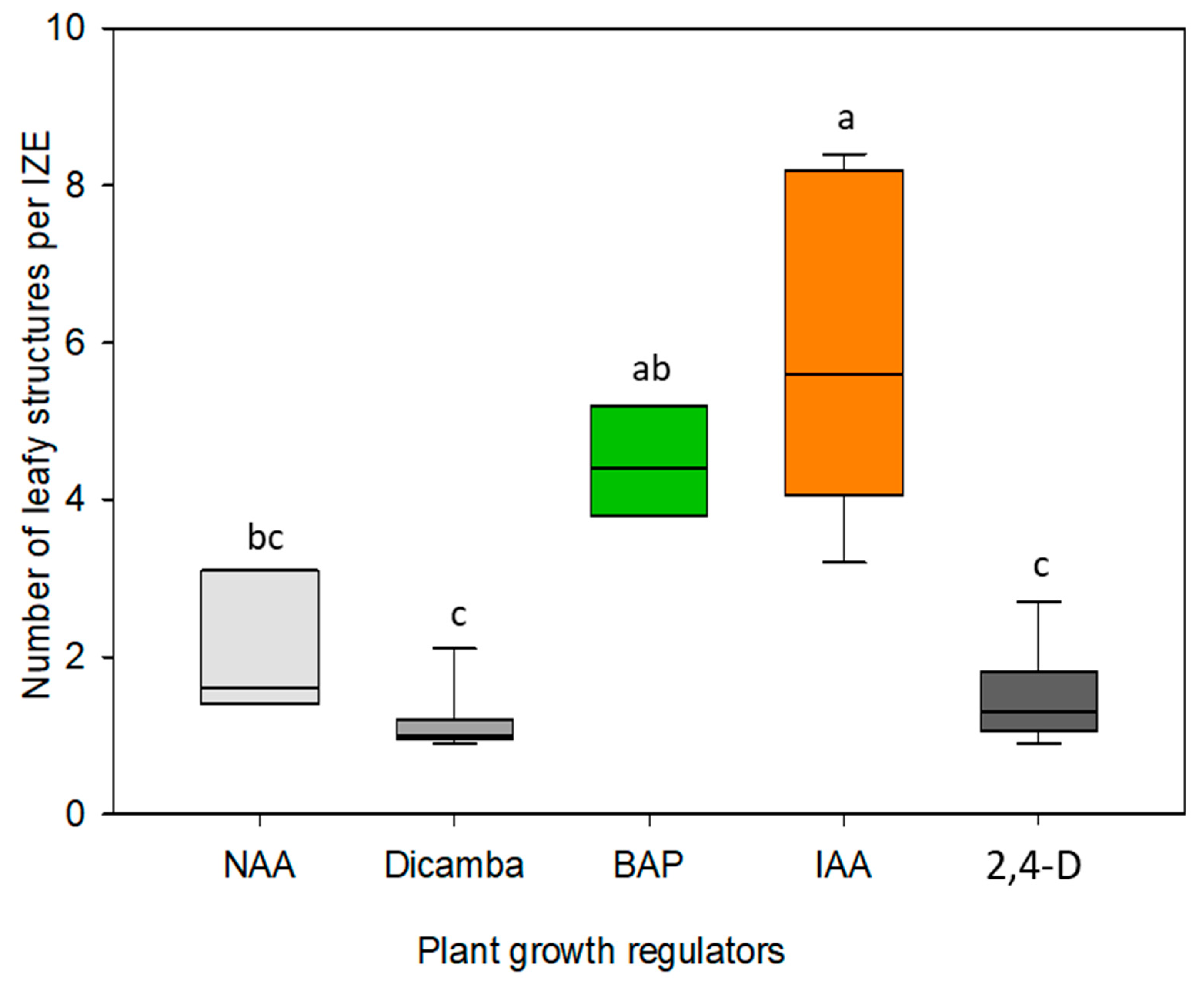 Plants 13 00465 g003