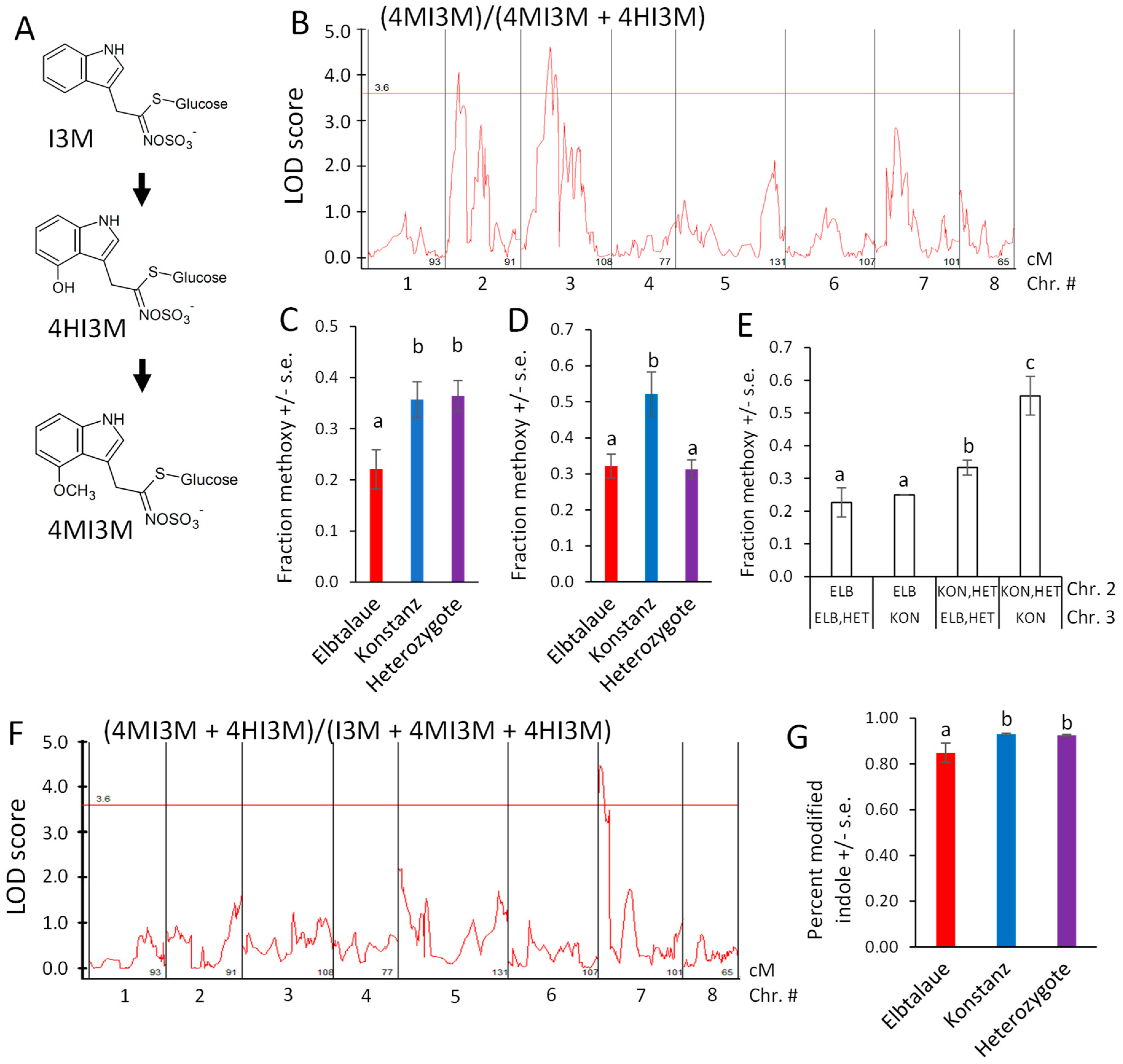 Plants 13 00466 g007 Plants 13 00466 g007