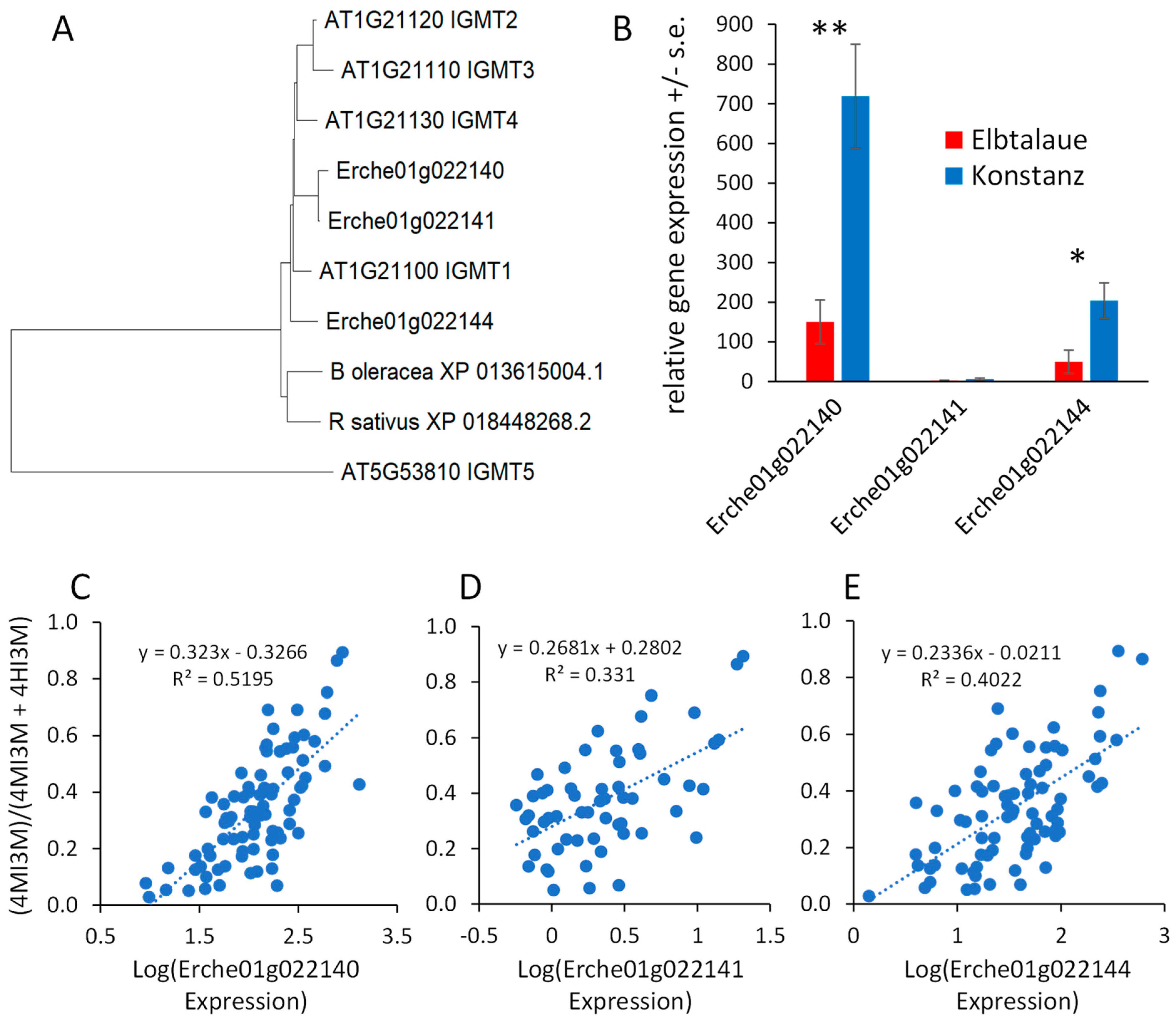 Plants 13 00466 g008 Plants 13 00466 g008