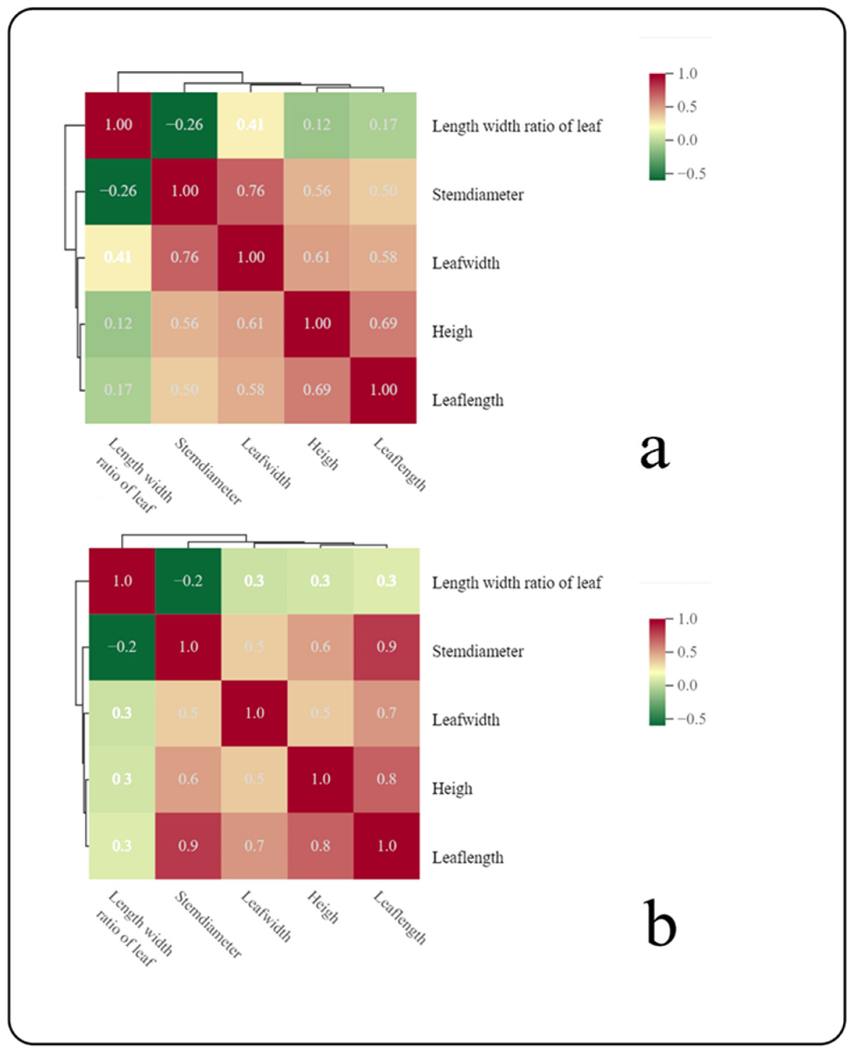 Plants 13 00467 g001