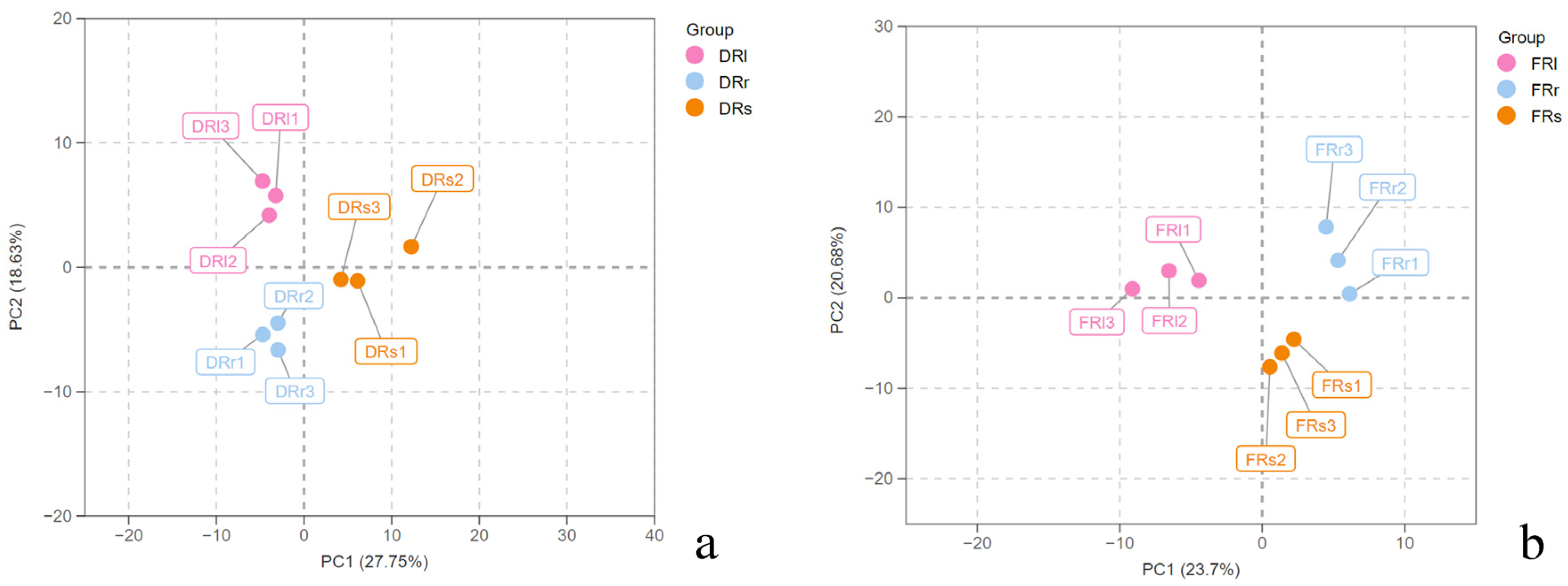 Plants 13 00467 g002