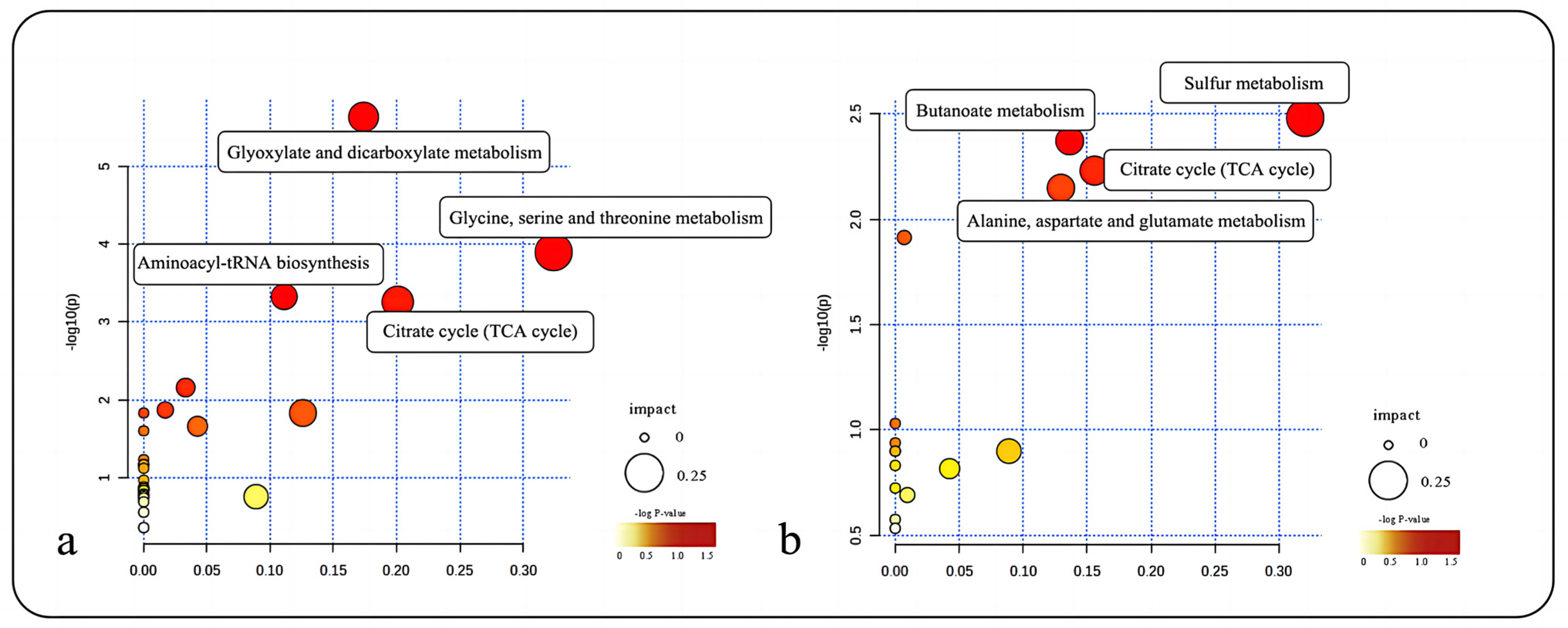 Plants 13 00467 g007