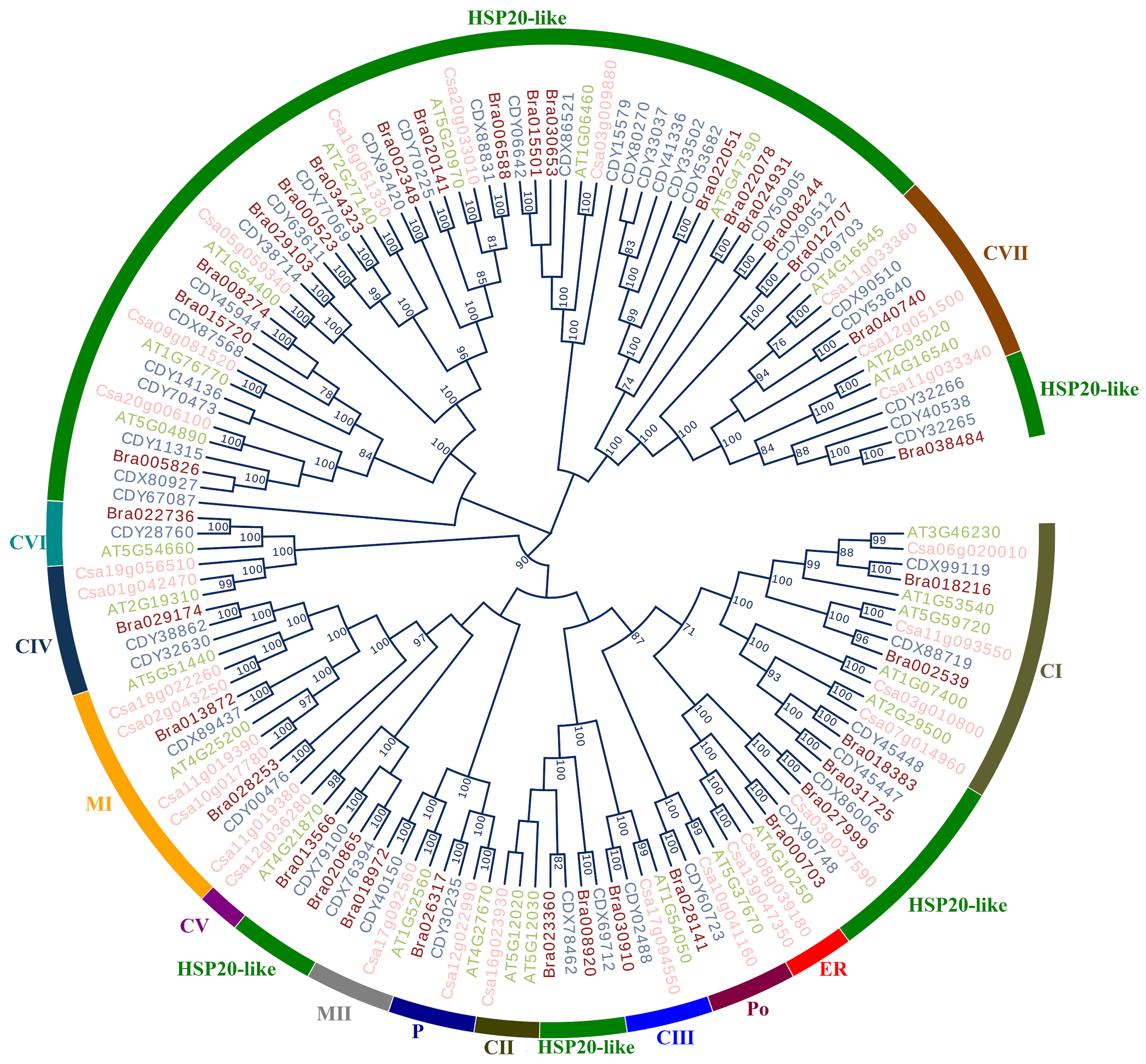 Plants 13 00468 g008