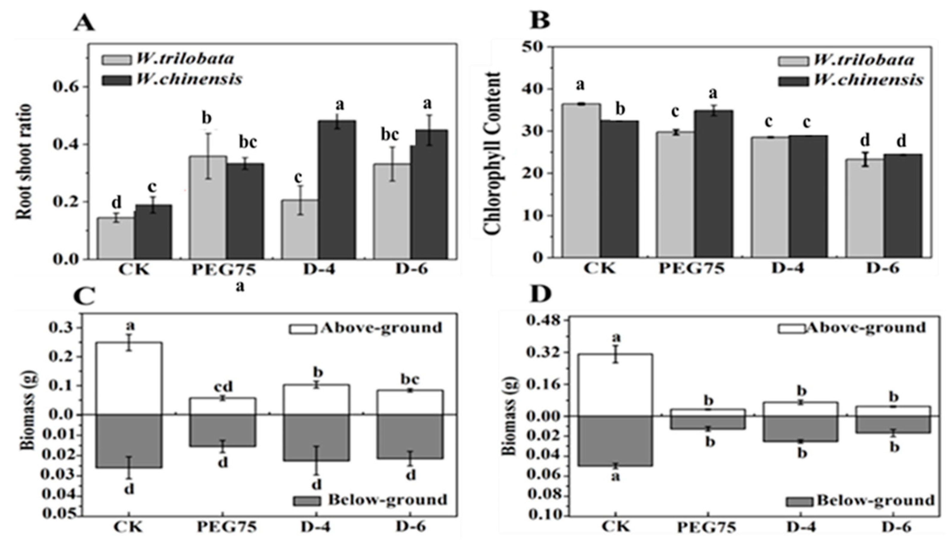 Plants 13 00472 g003