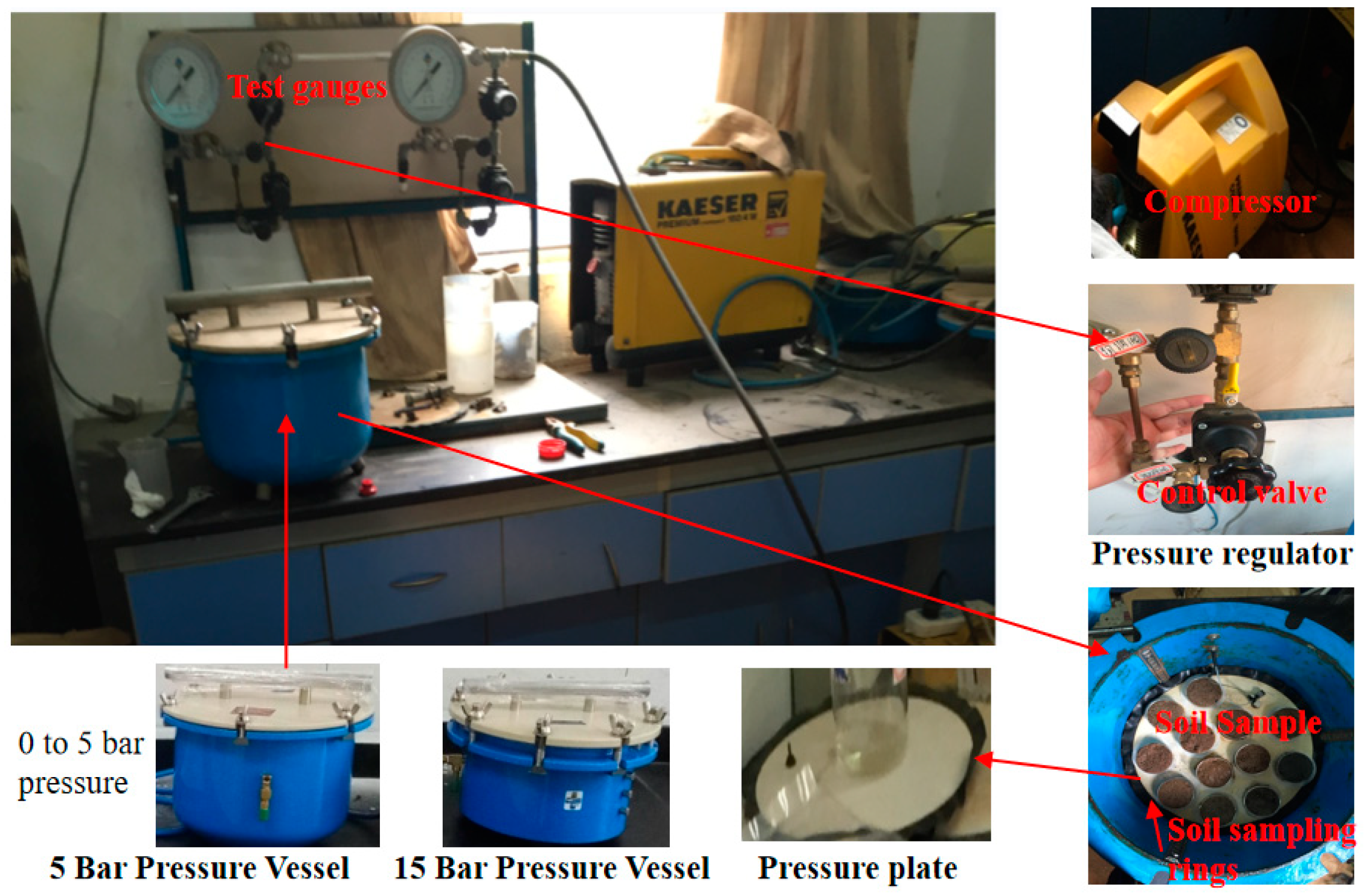 Plants 13 00473 g001