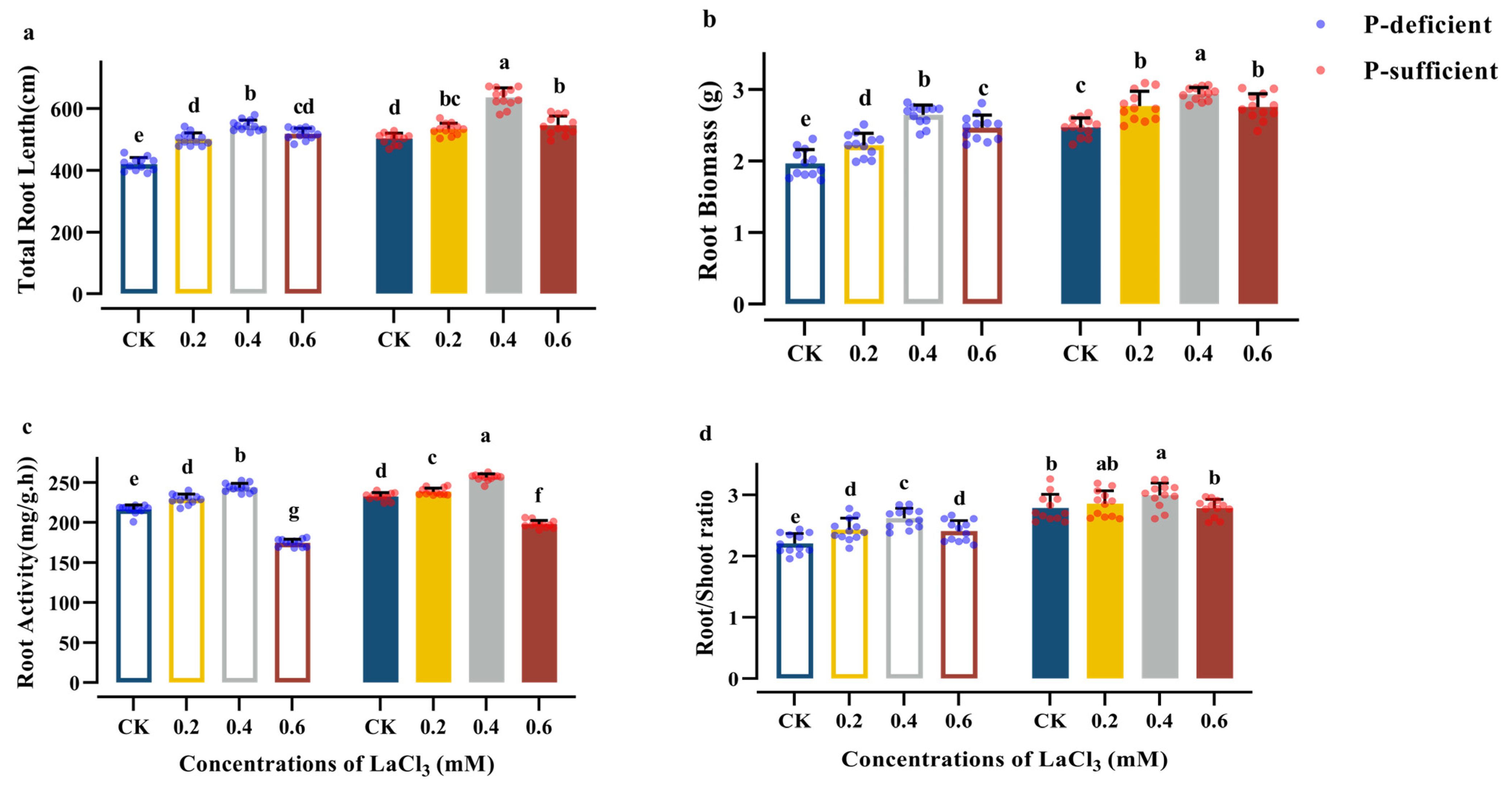 Plants 13 00474 g002