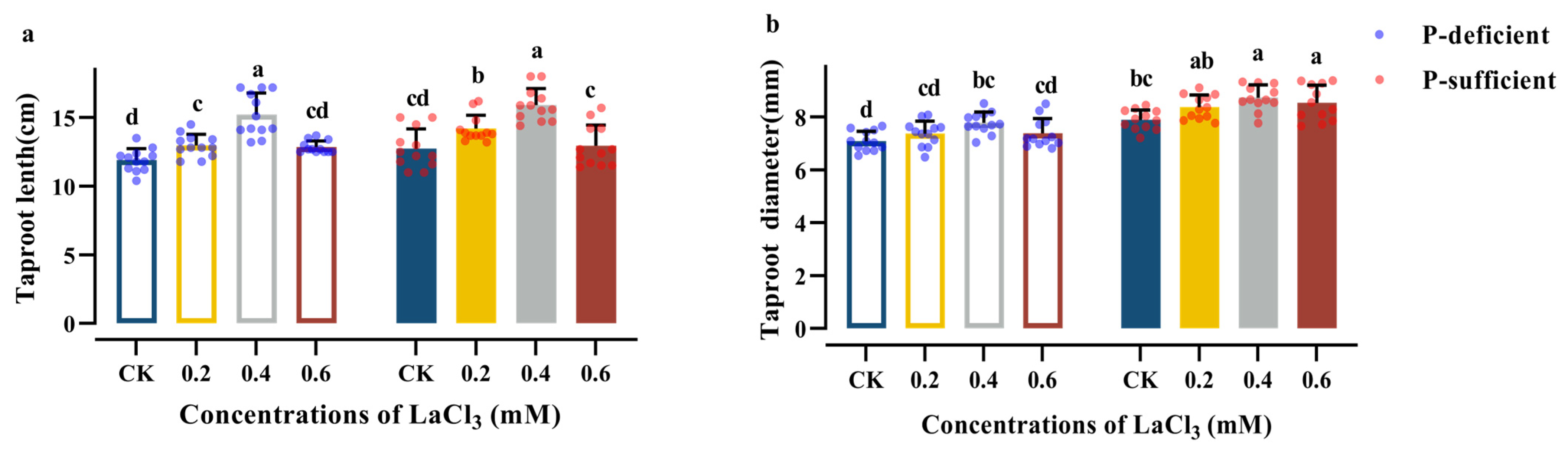 Plants 13 00474 g003