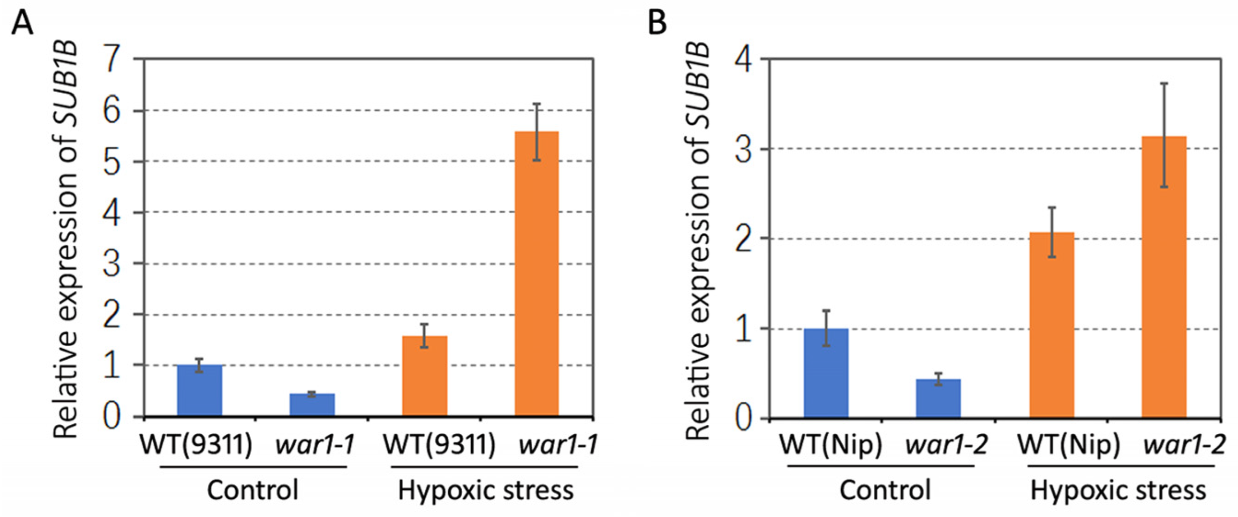 Plants 13 00476 g006