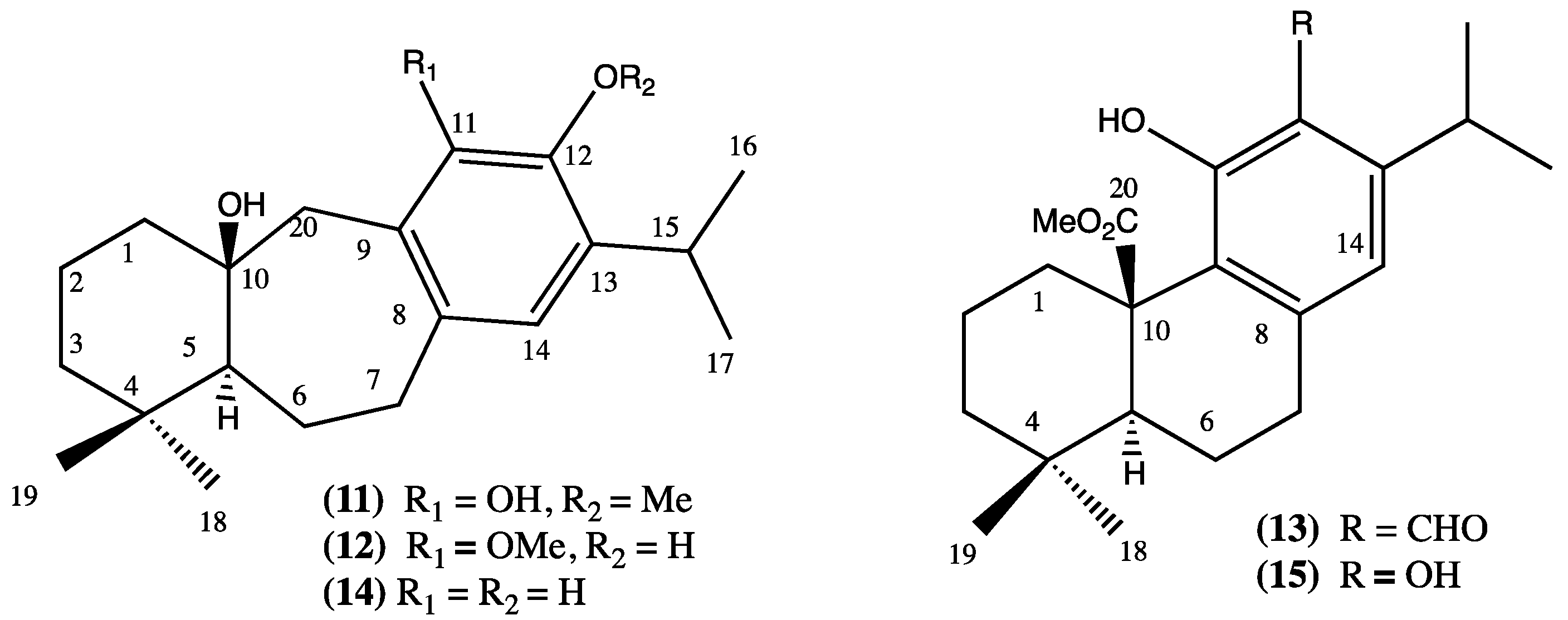 Plants 13 00481 g003