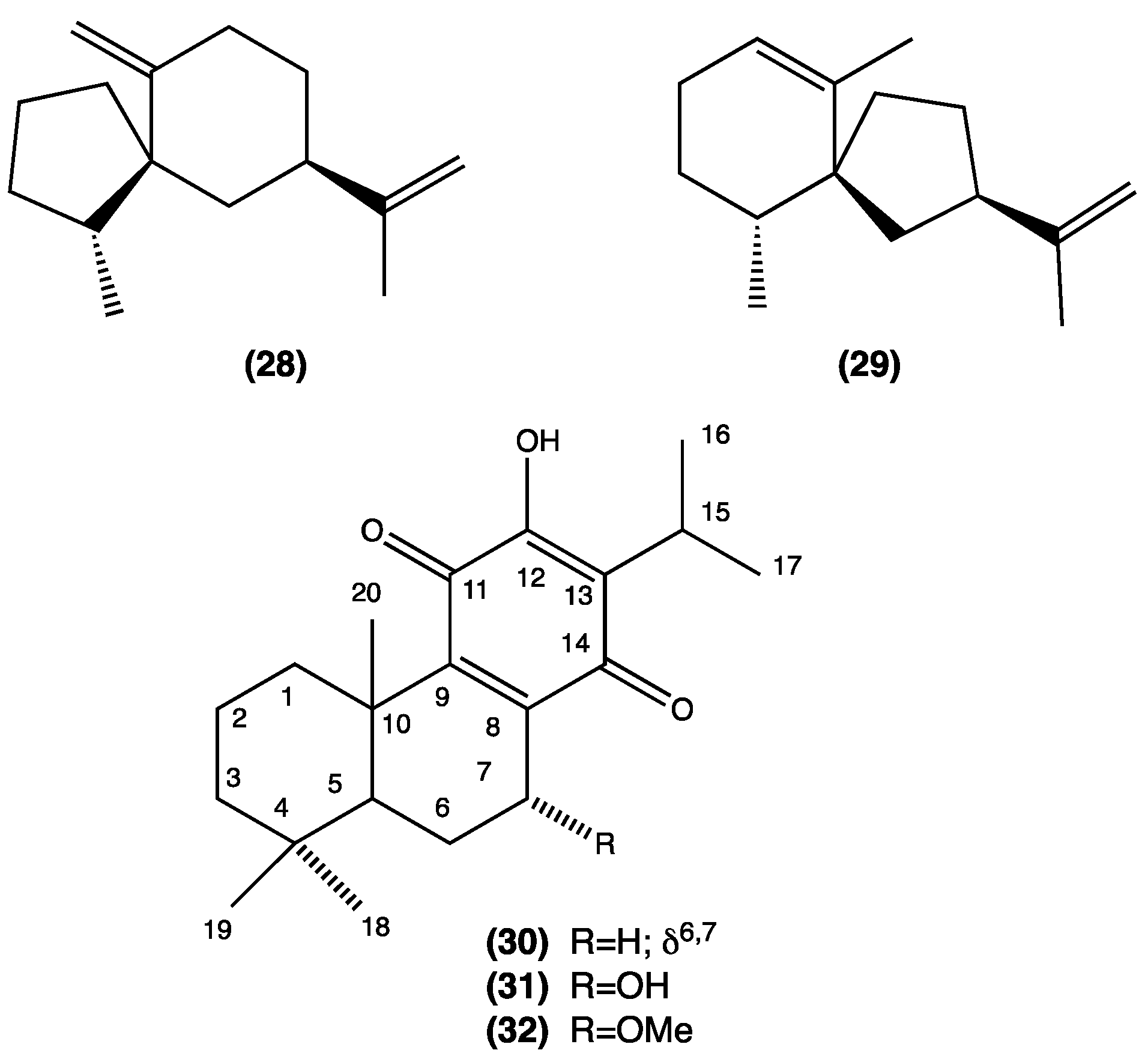 Plants 13 00481 g005