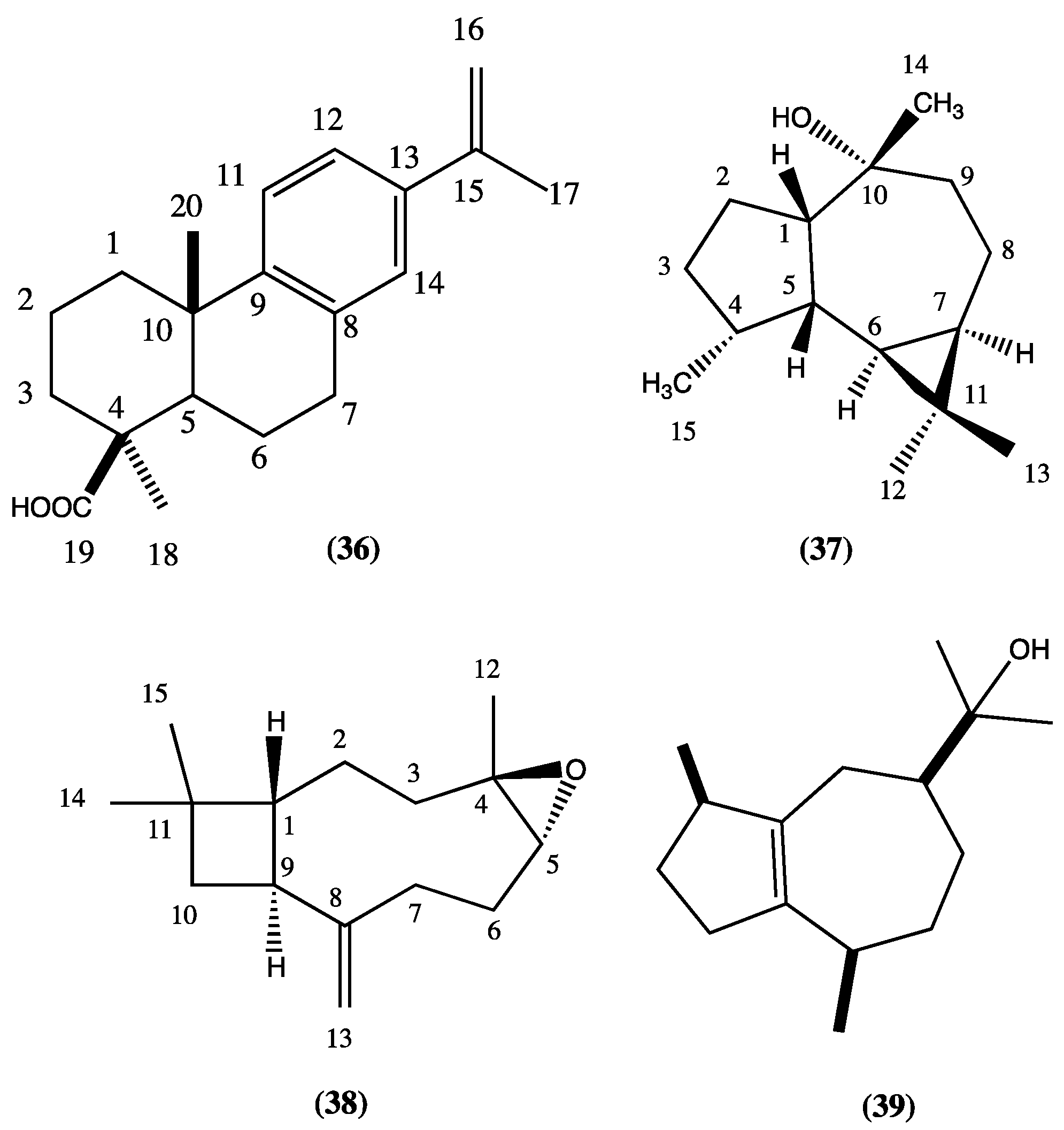 Plants 13 00481 g007
