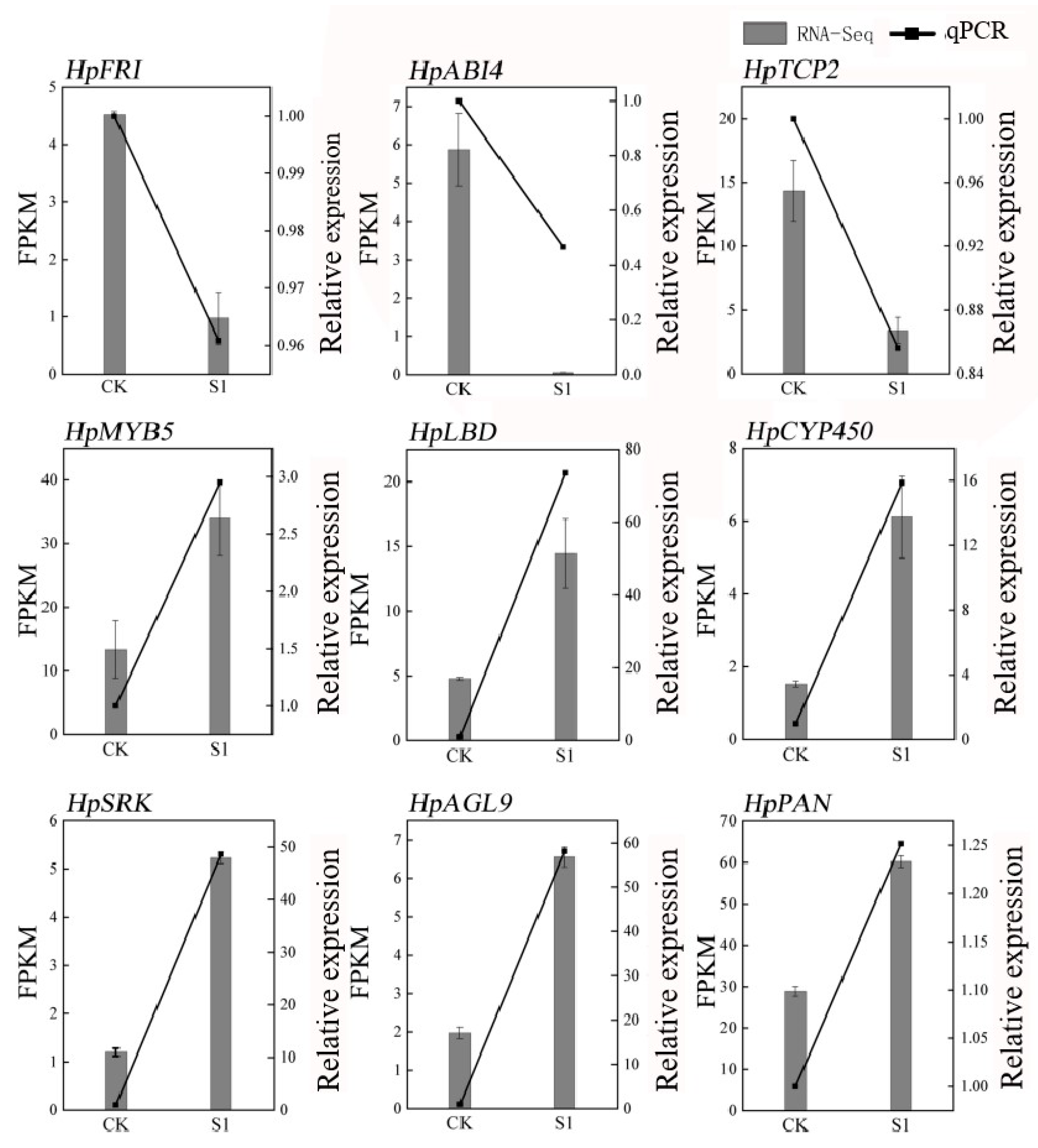 Plants 13 00486 g002