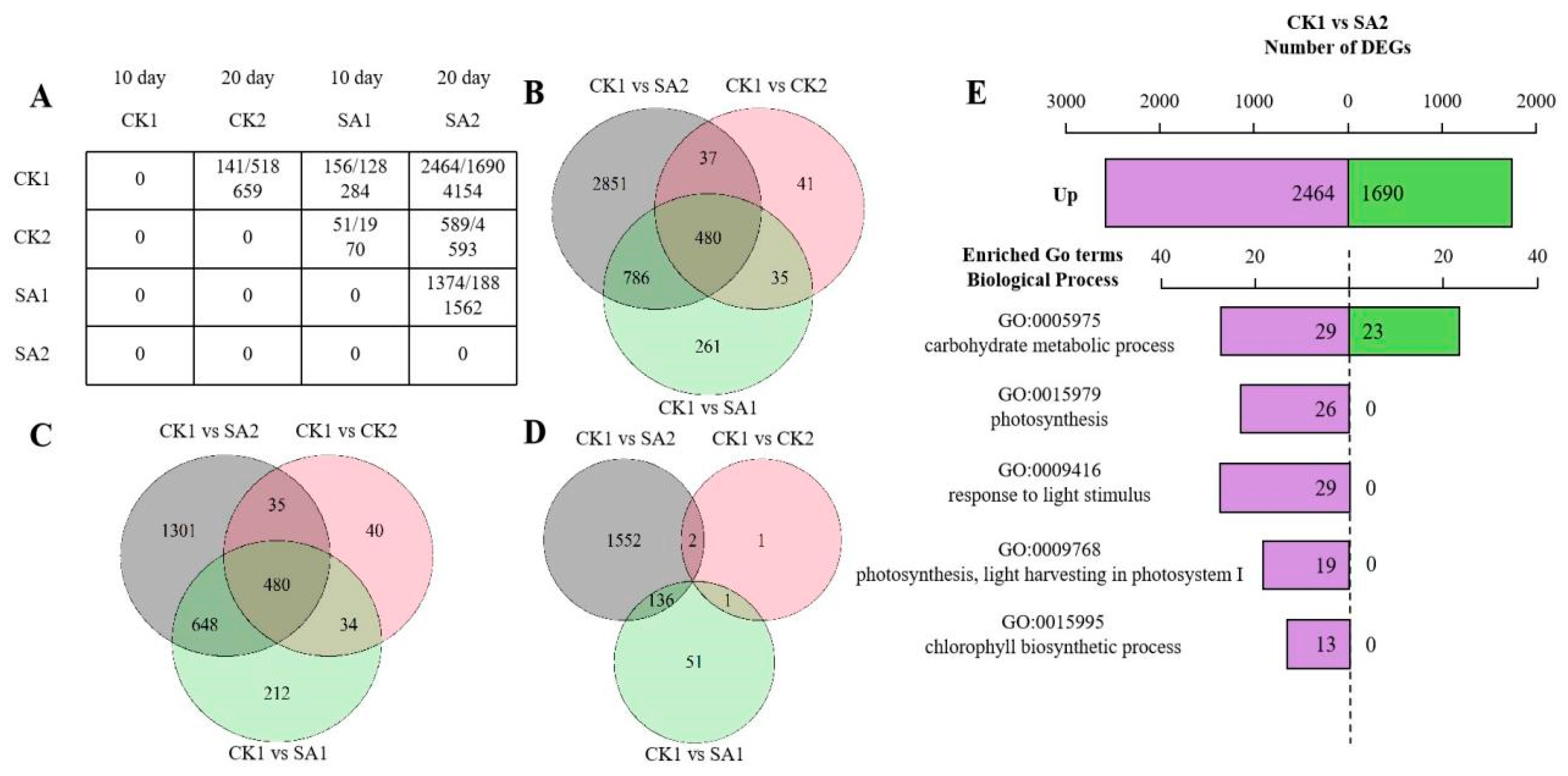 Plants 13 00486 g003