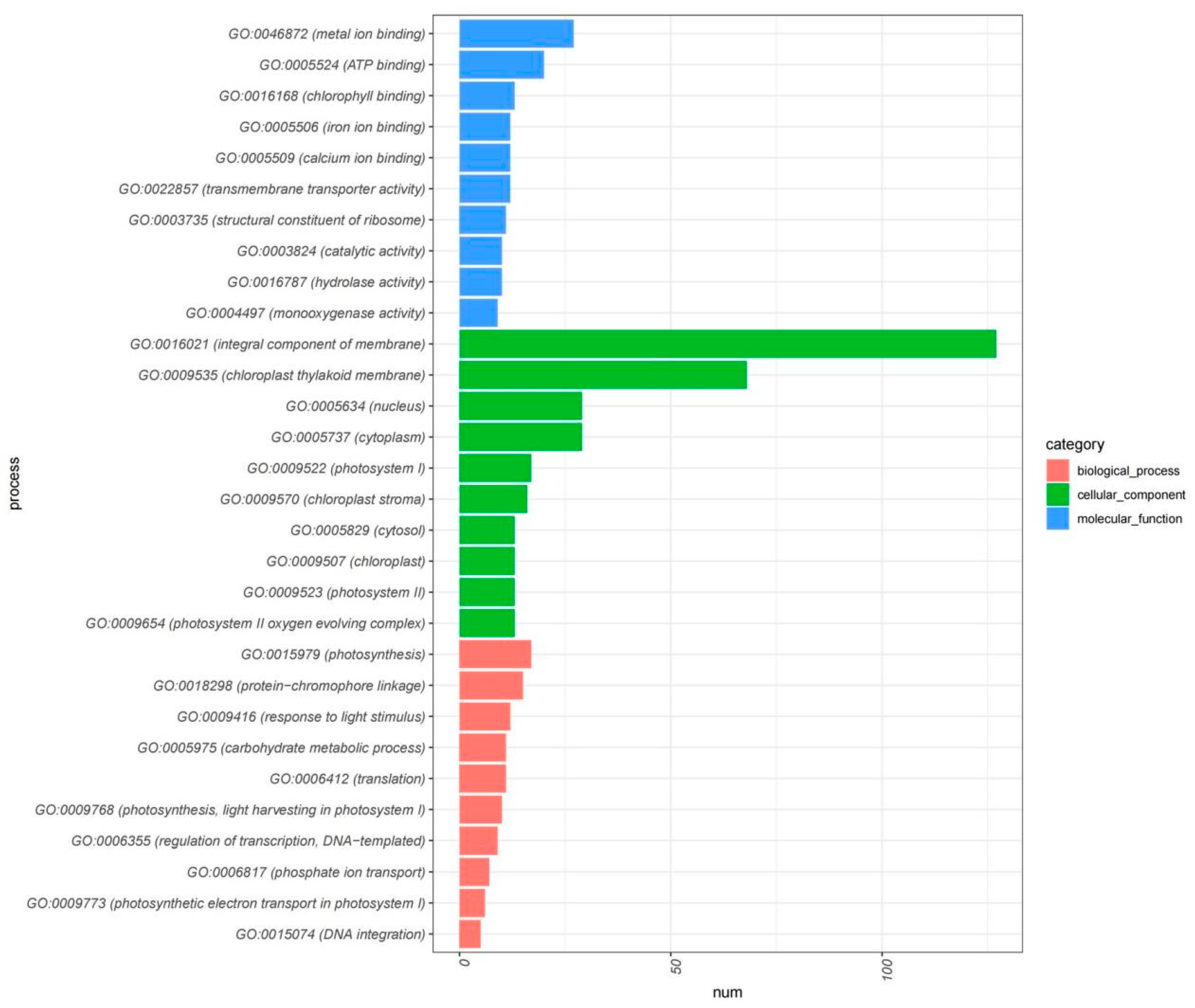 Plants 13 00486 g005