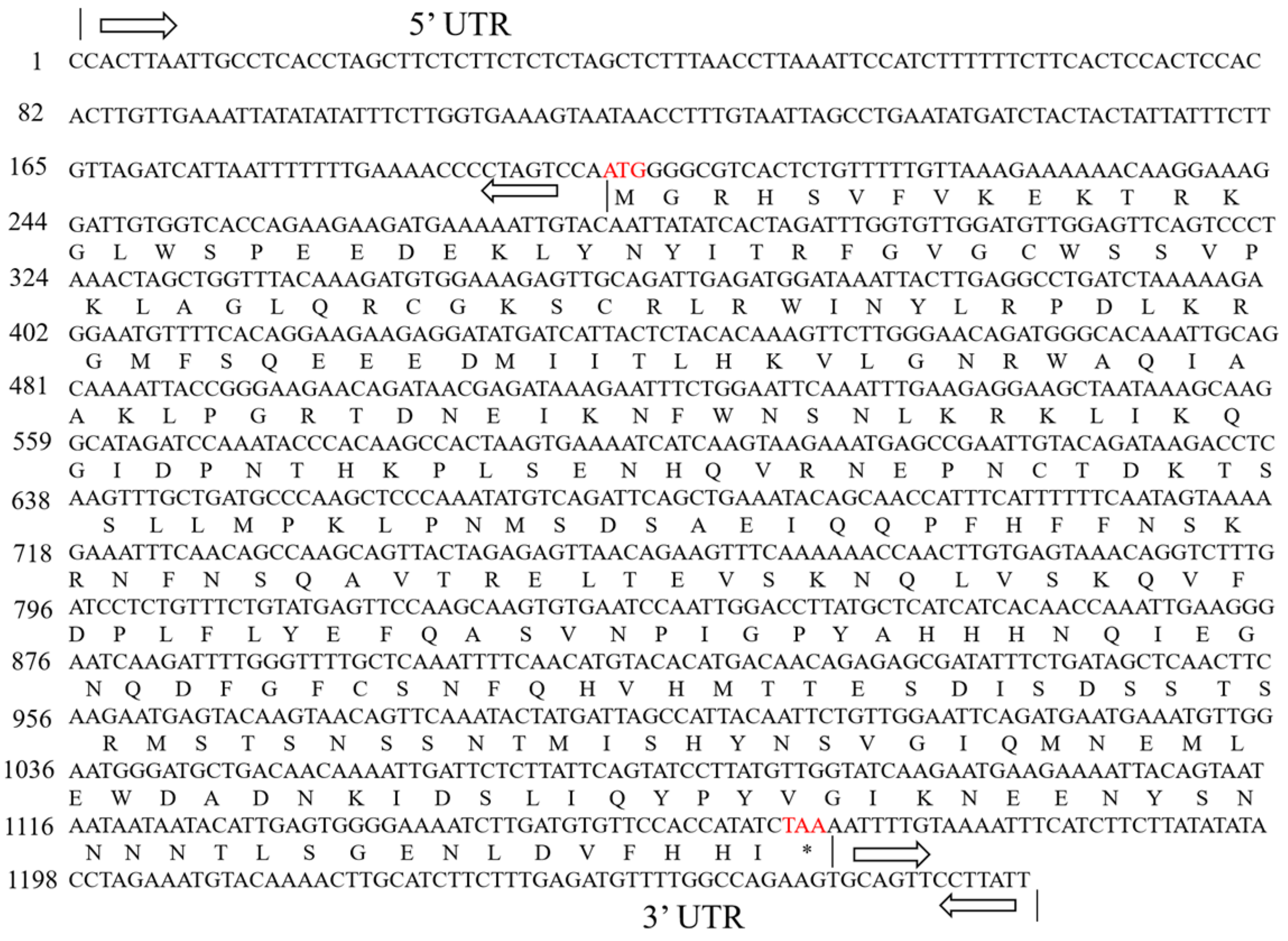 Plants 13 00488 g002