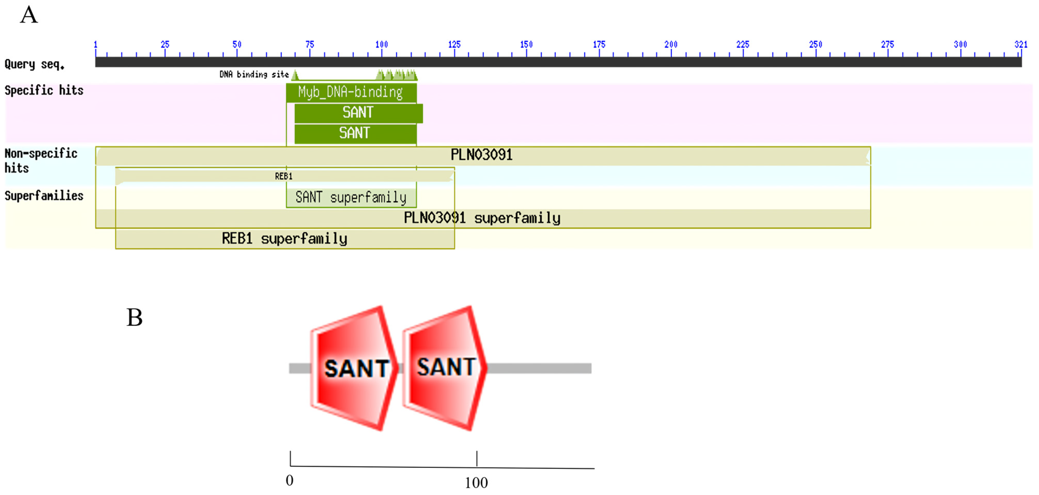 Plants 13 00488 g003