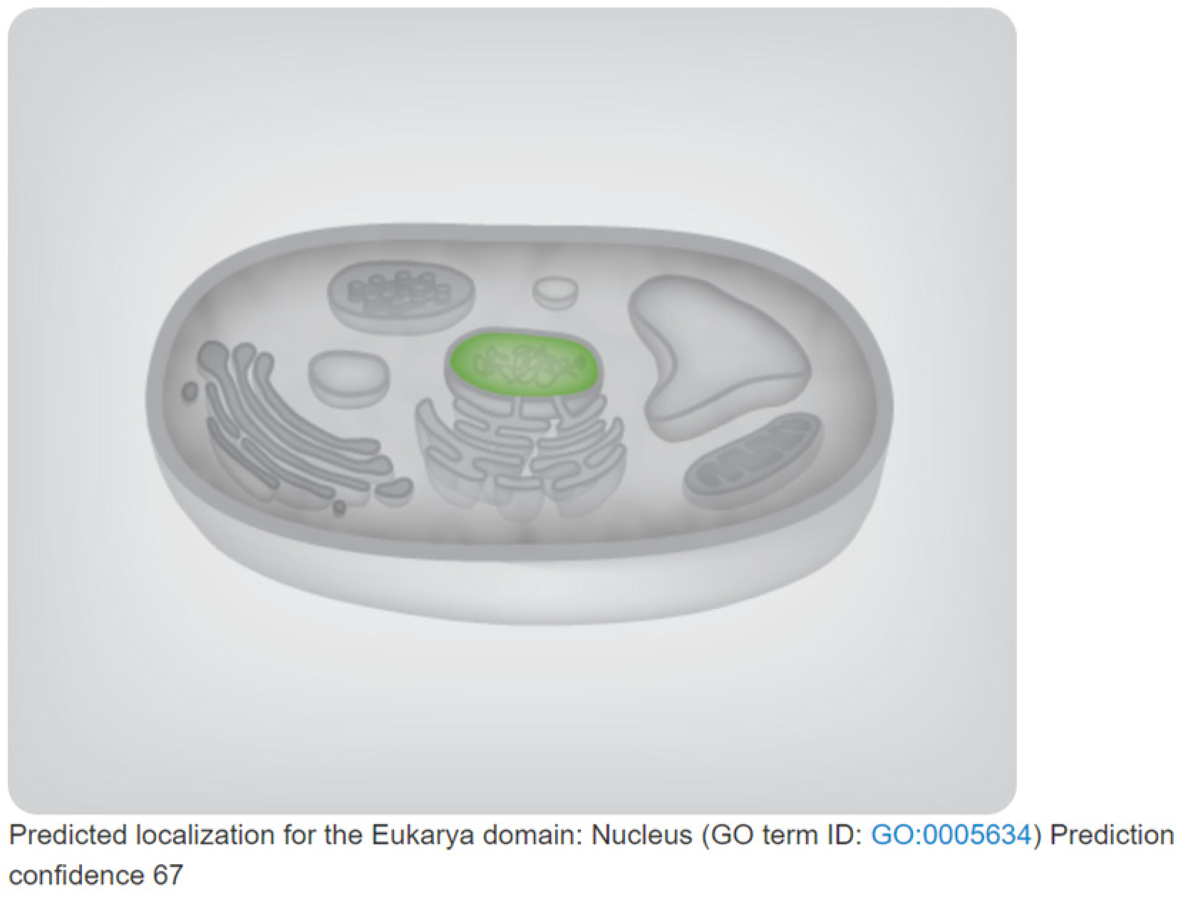 Plants 13 00488 g004