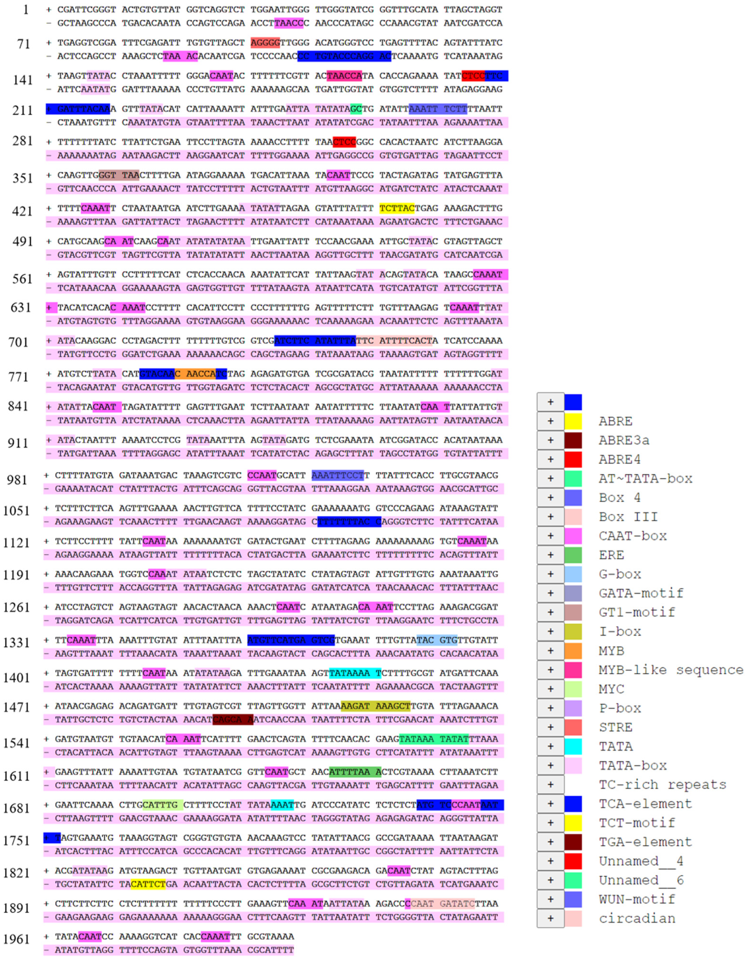 Plants 13 00488 g005