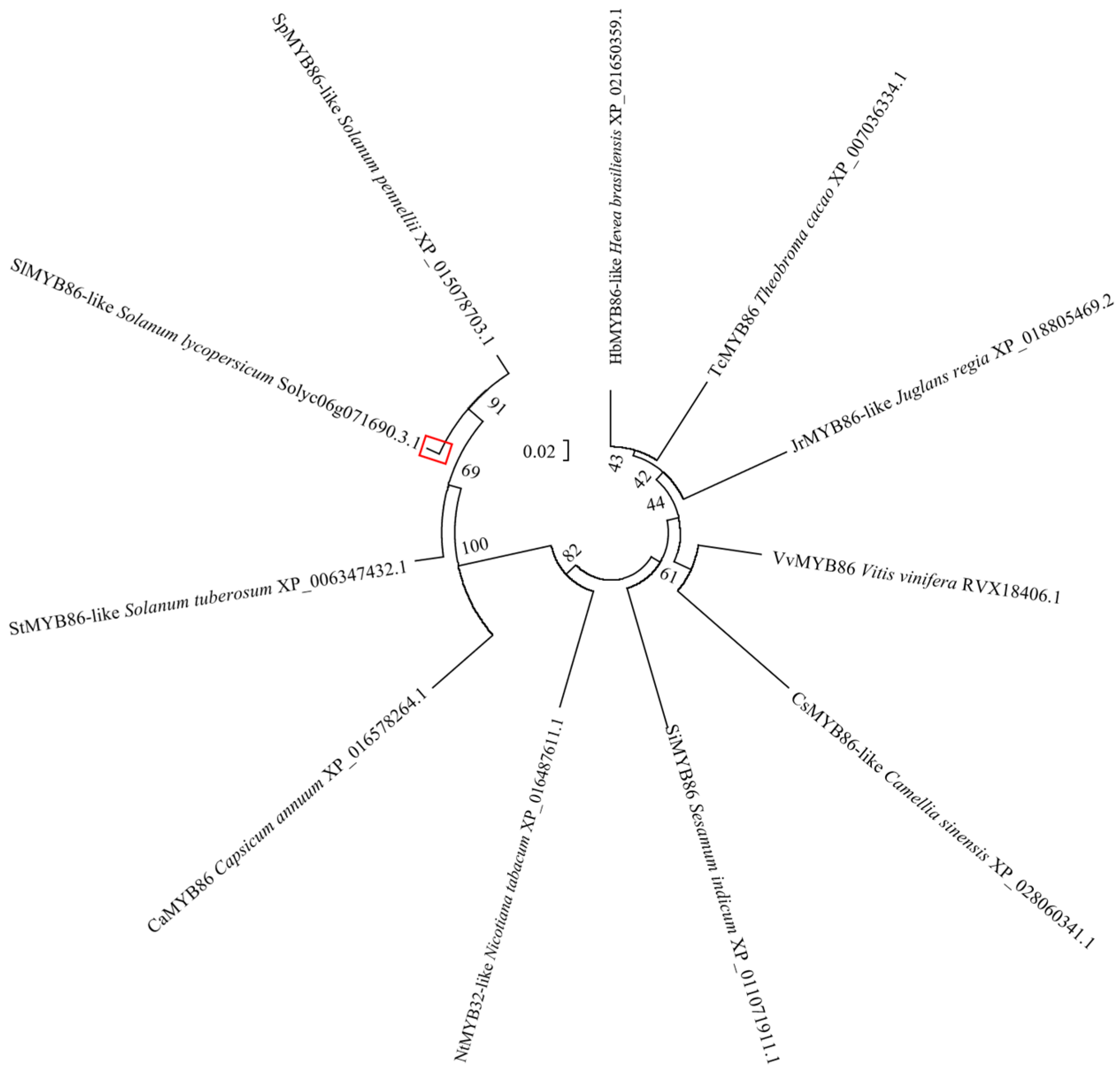 Plants 13 00488 g010