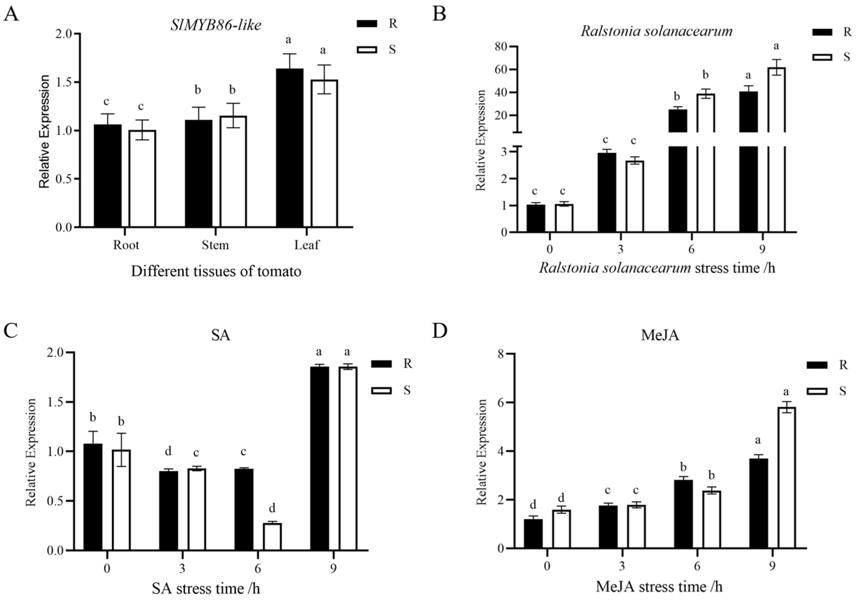 Plants 13 00488 g011