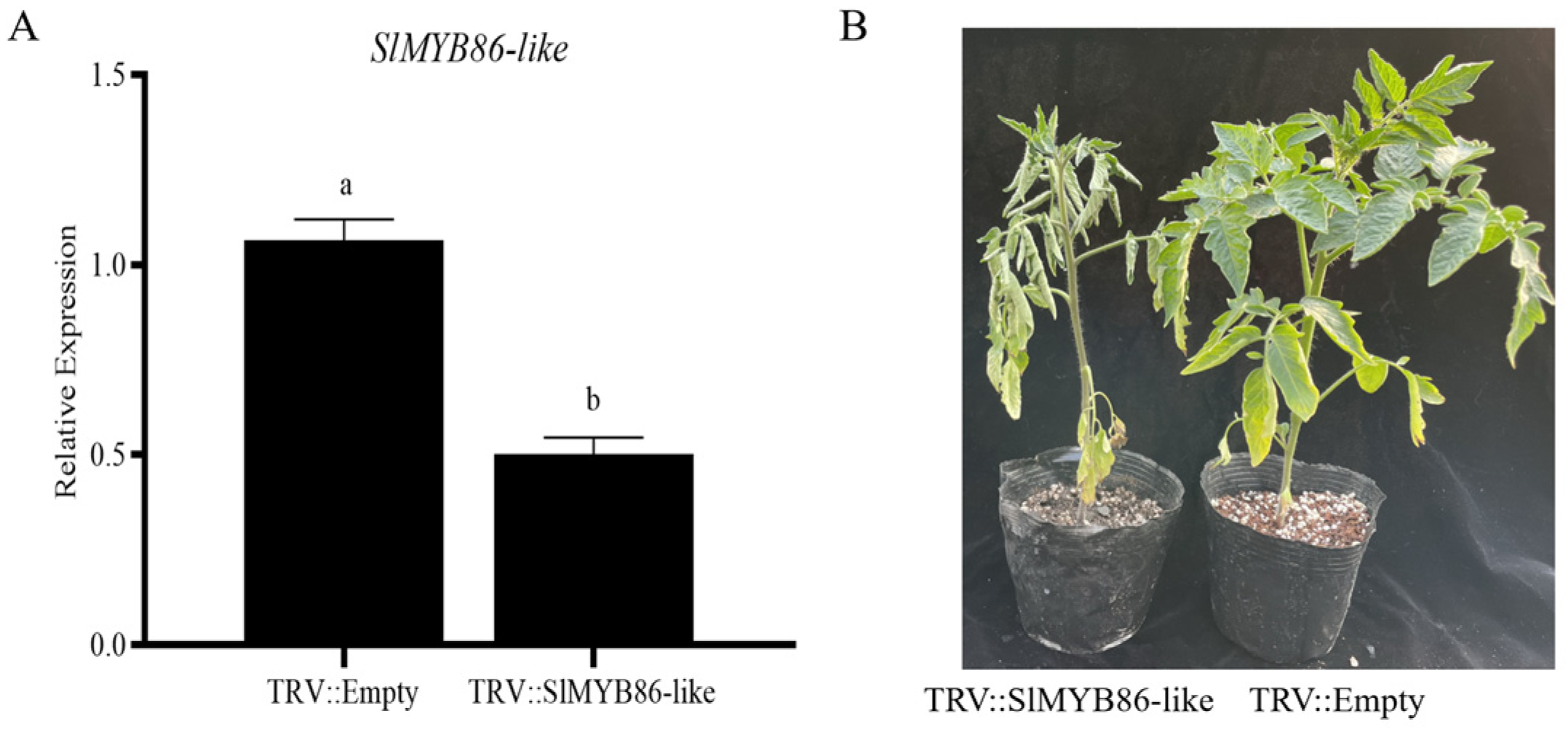 Plants 13 00488 g012