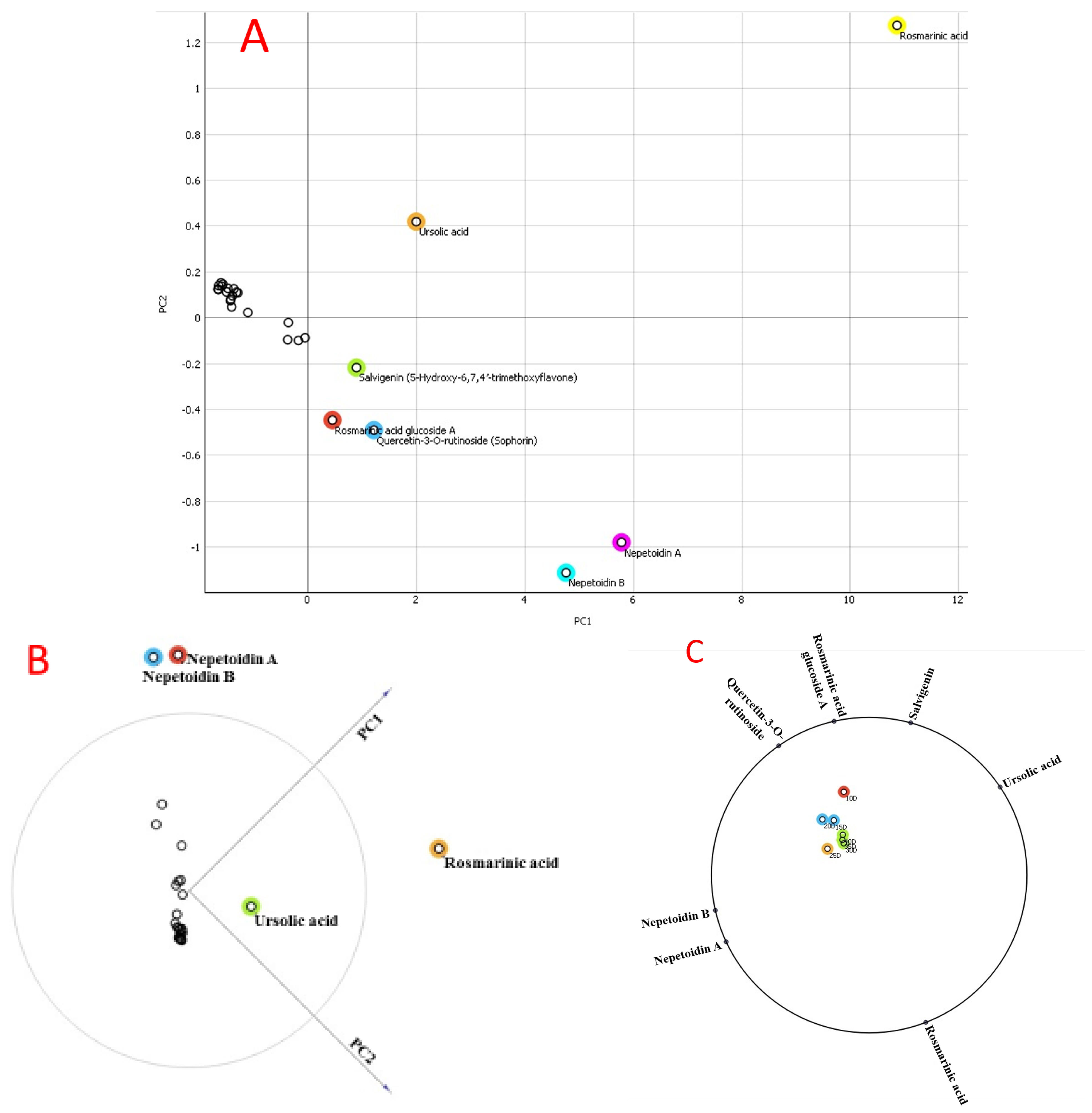 Plants 13 00491 g002