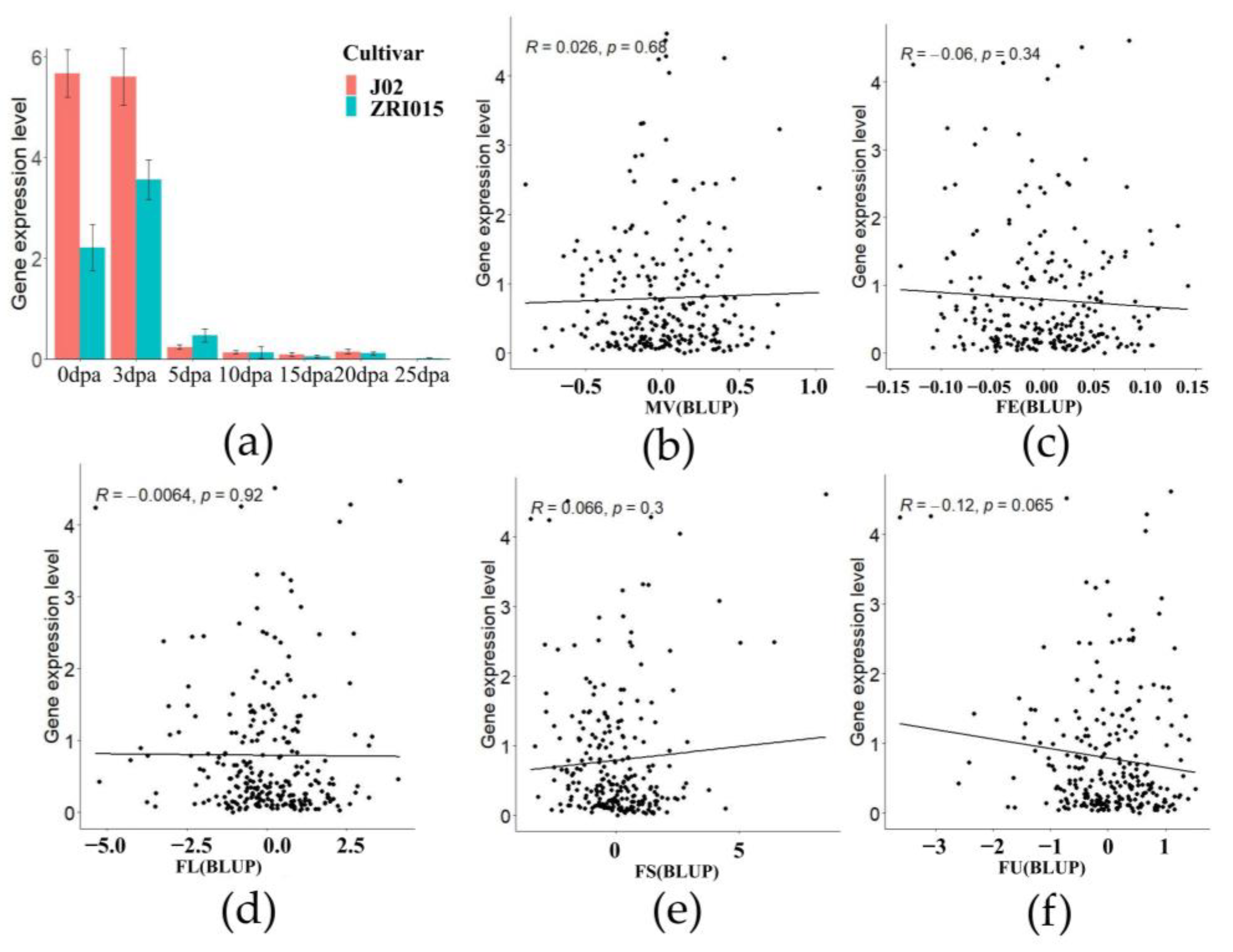 Plants 13 00492 g002