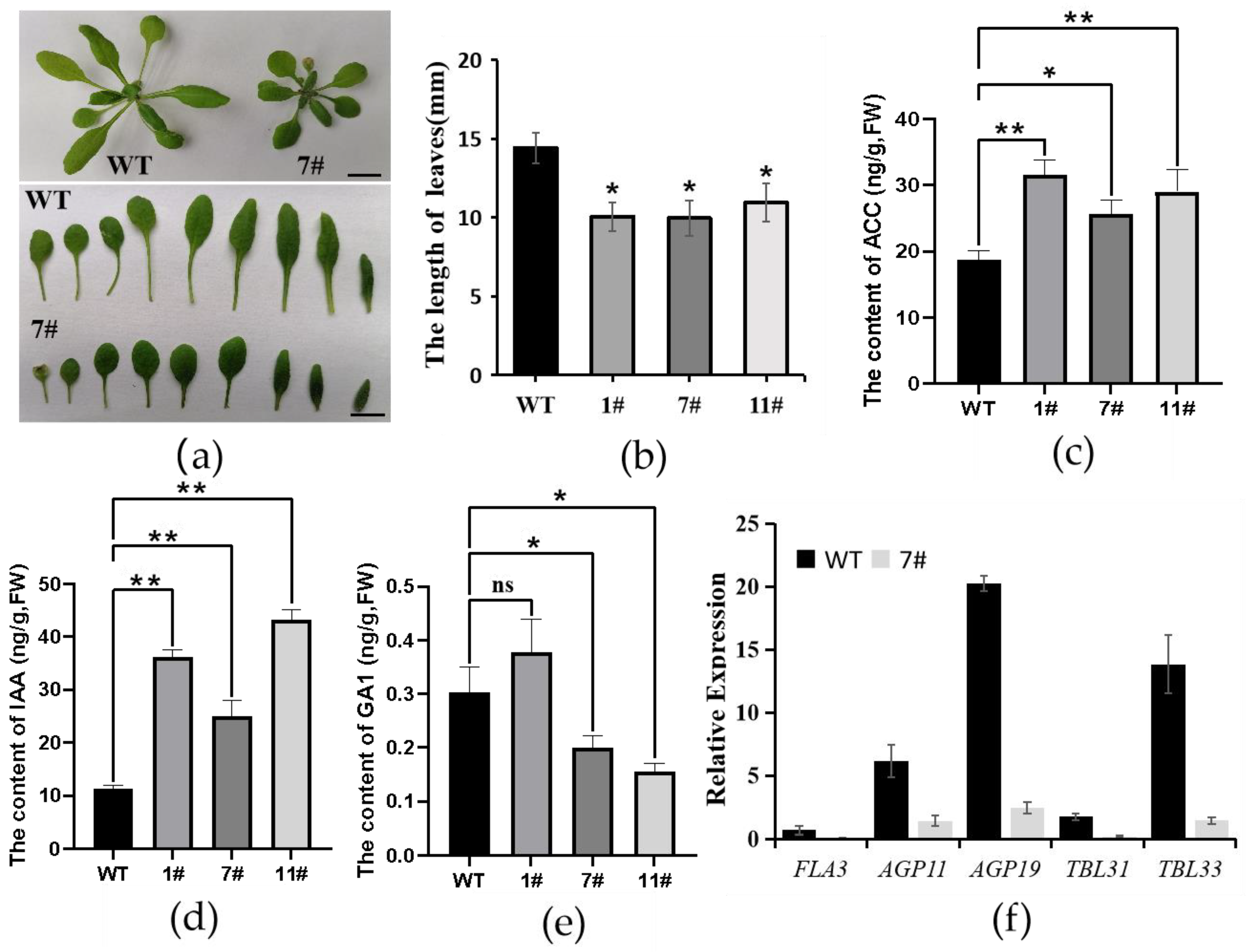 Plants 13 00492 g005