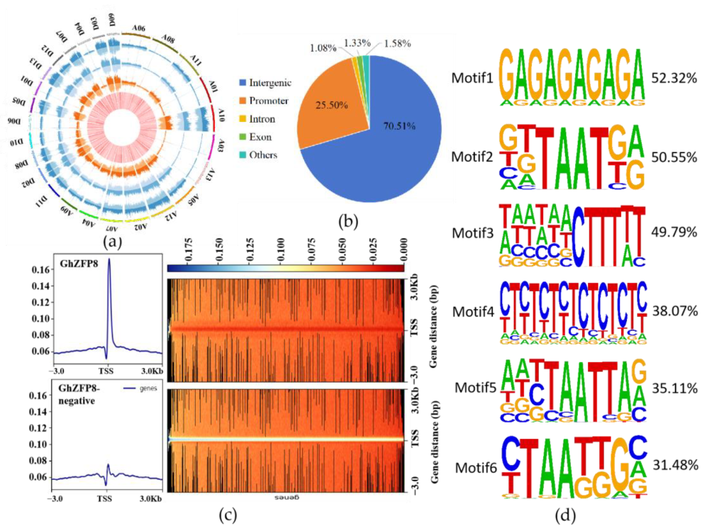 Plants 13 00492 g007