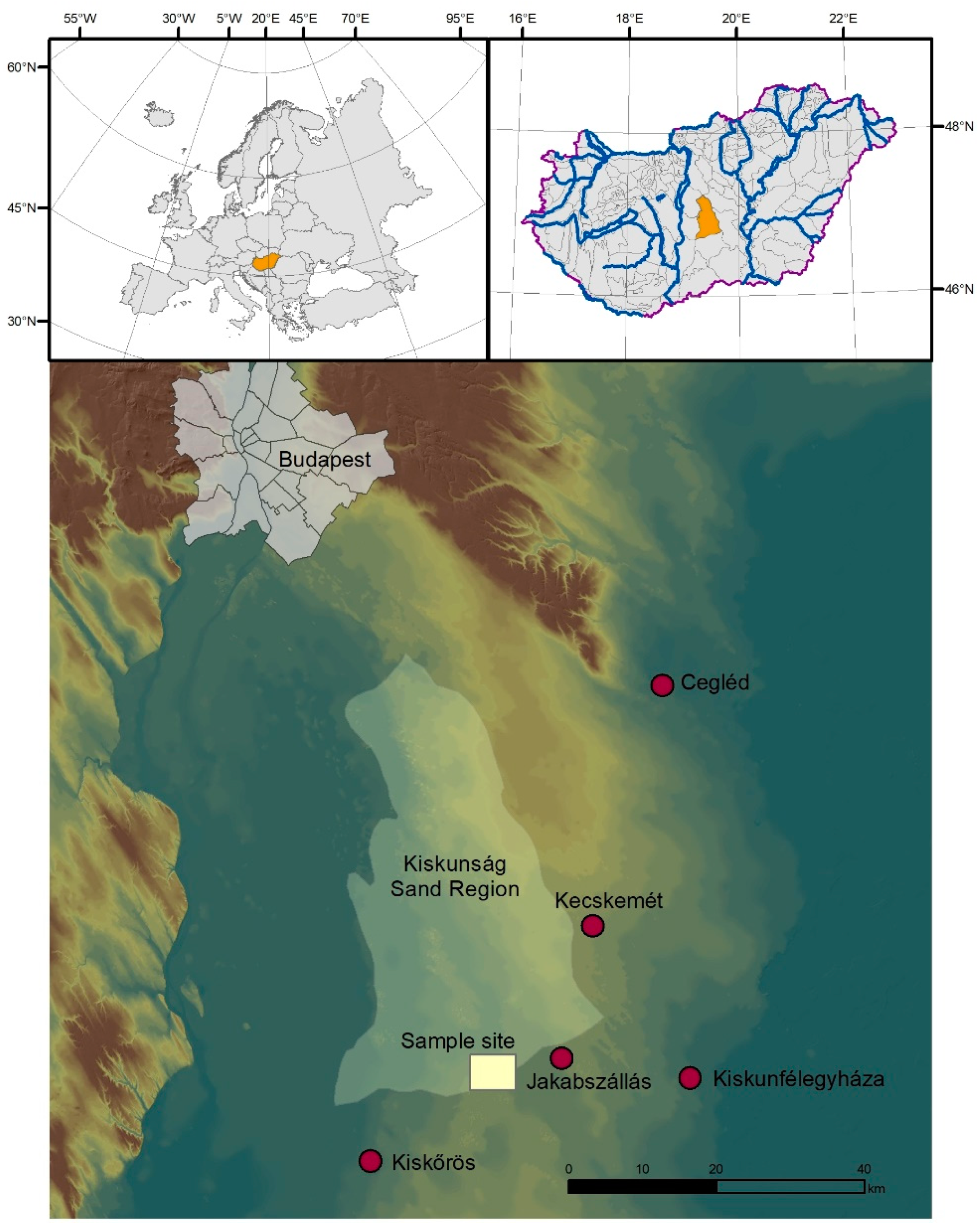 Plants 13 00494 g002 Plants 13 00494 g002