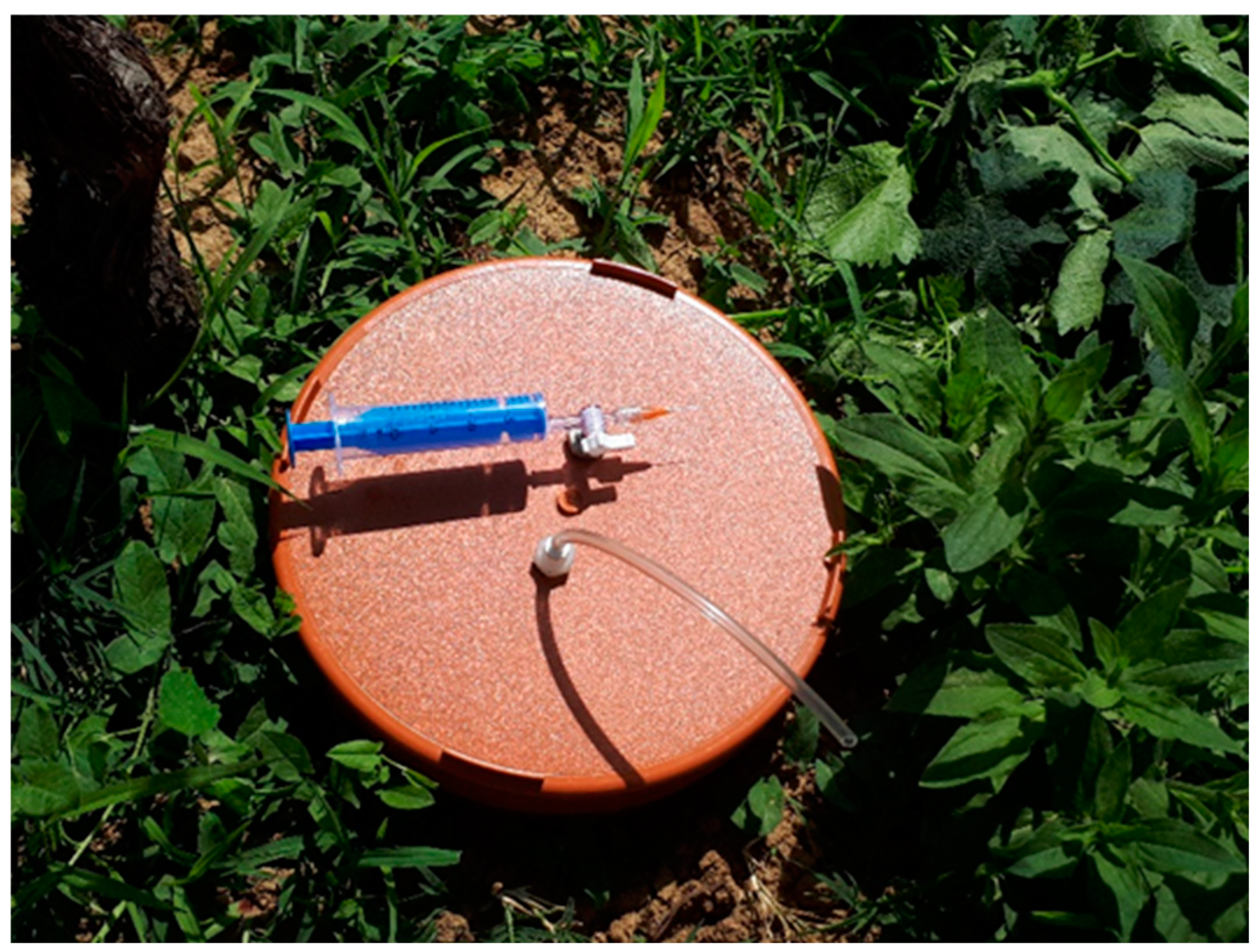 Plants 13 00494 g009 Plants 13 00494 g009