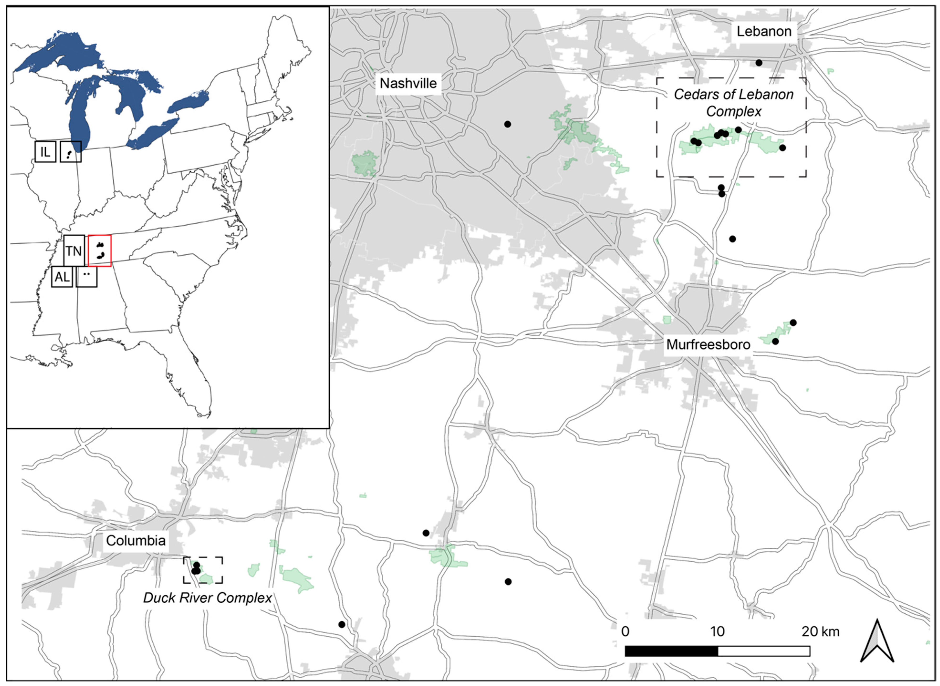 Plants 13 00495 g001