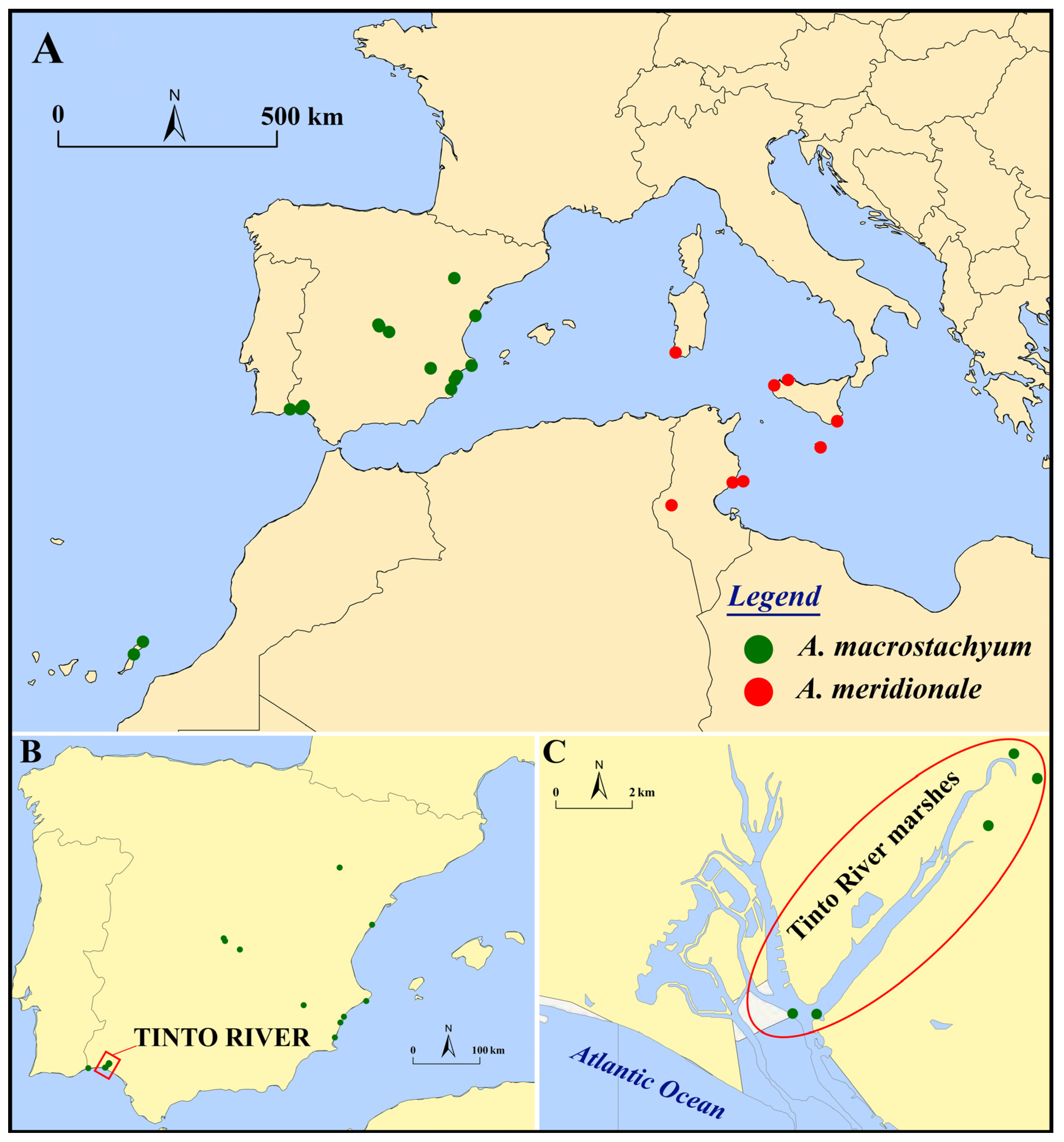 Plants 13 00496 g012